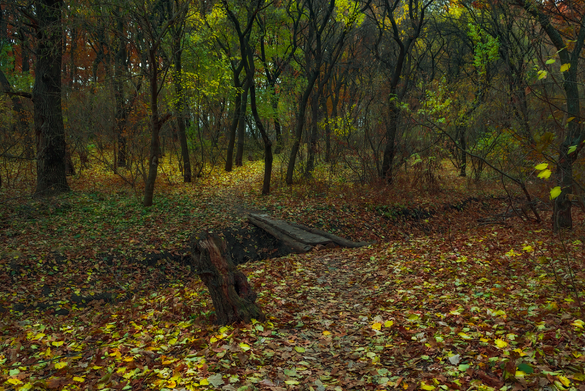 , Лысенко Сергей