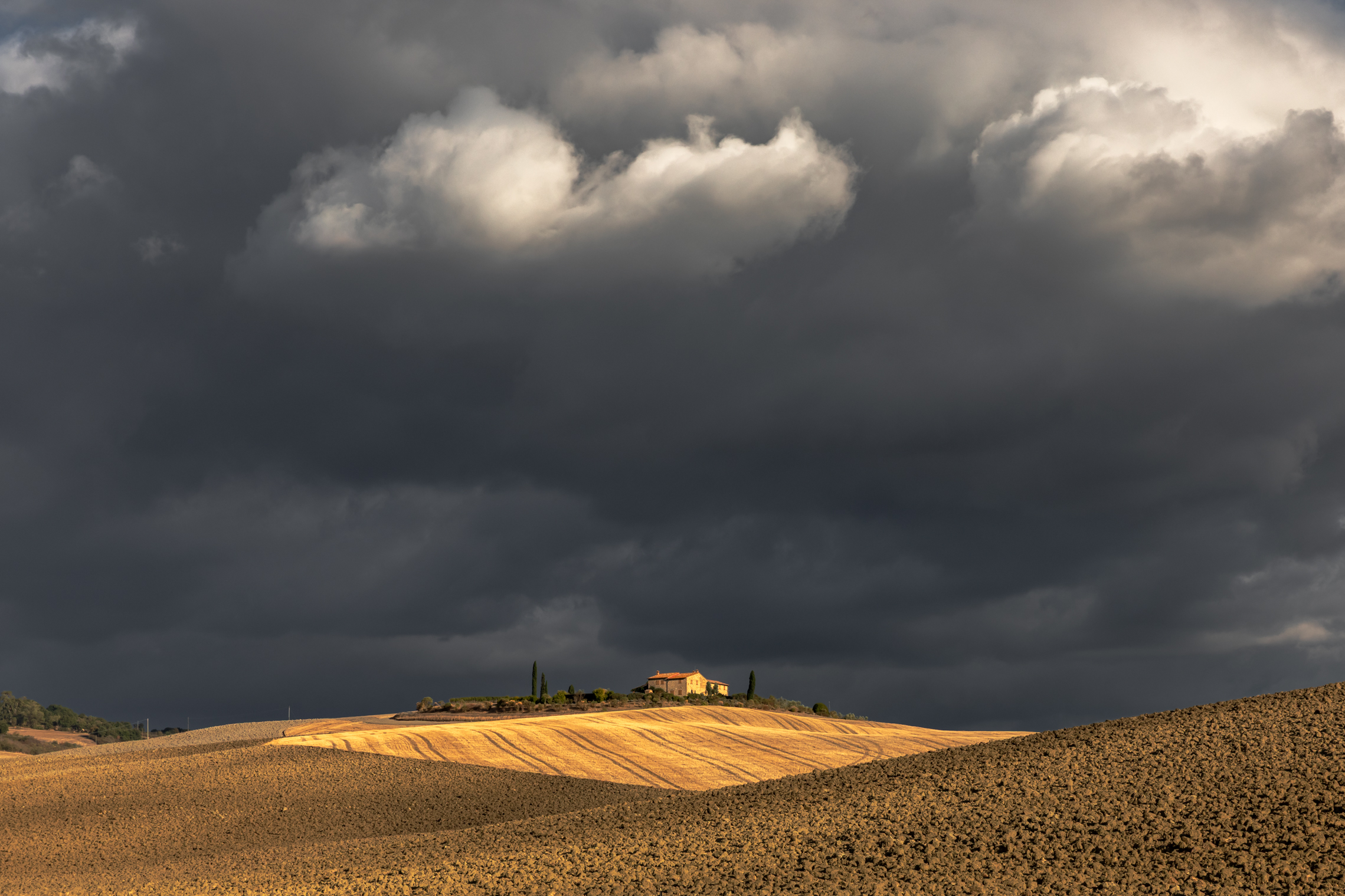 , Евгения Чех