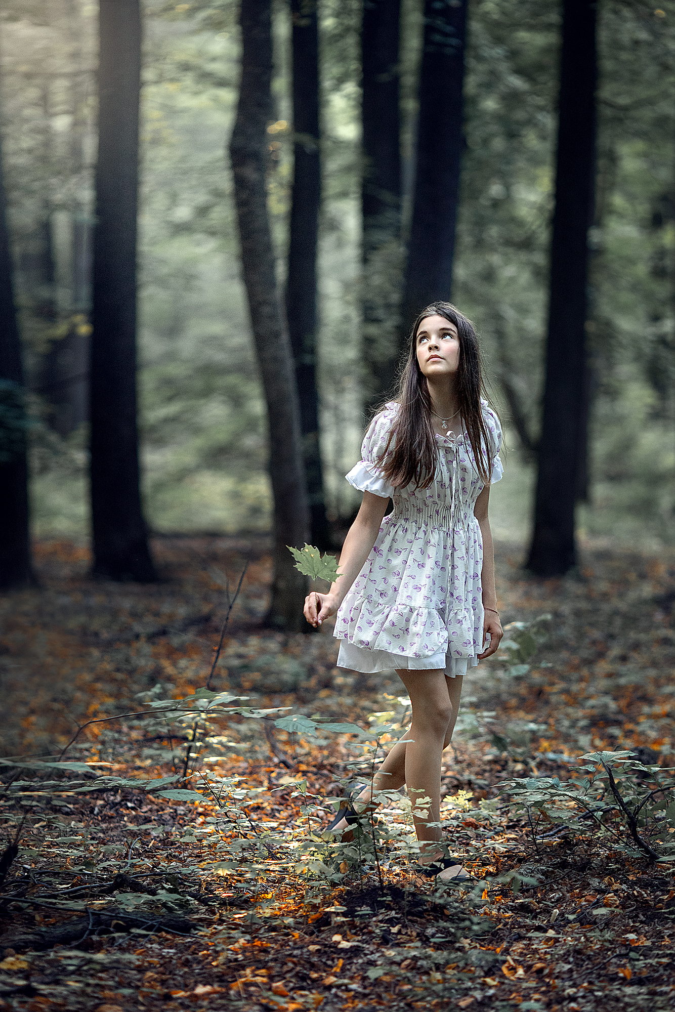 , Солнечный Александр