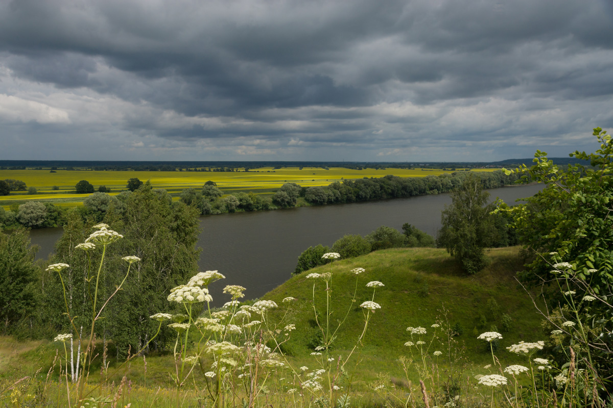 , Елена Колеснева