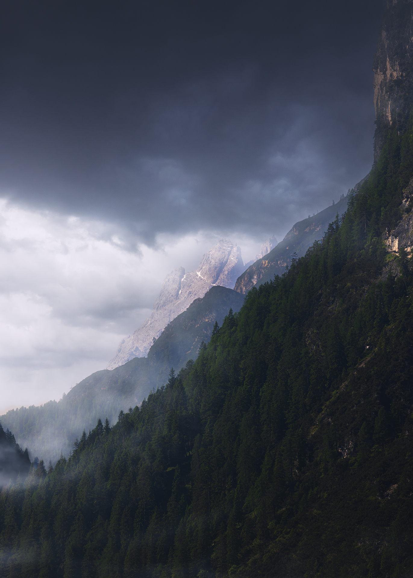 , Быков Сергей