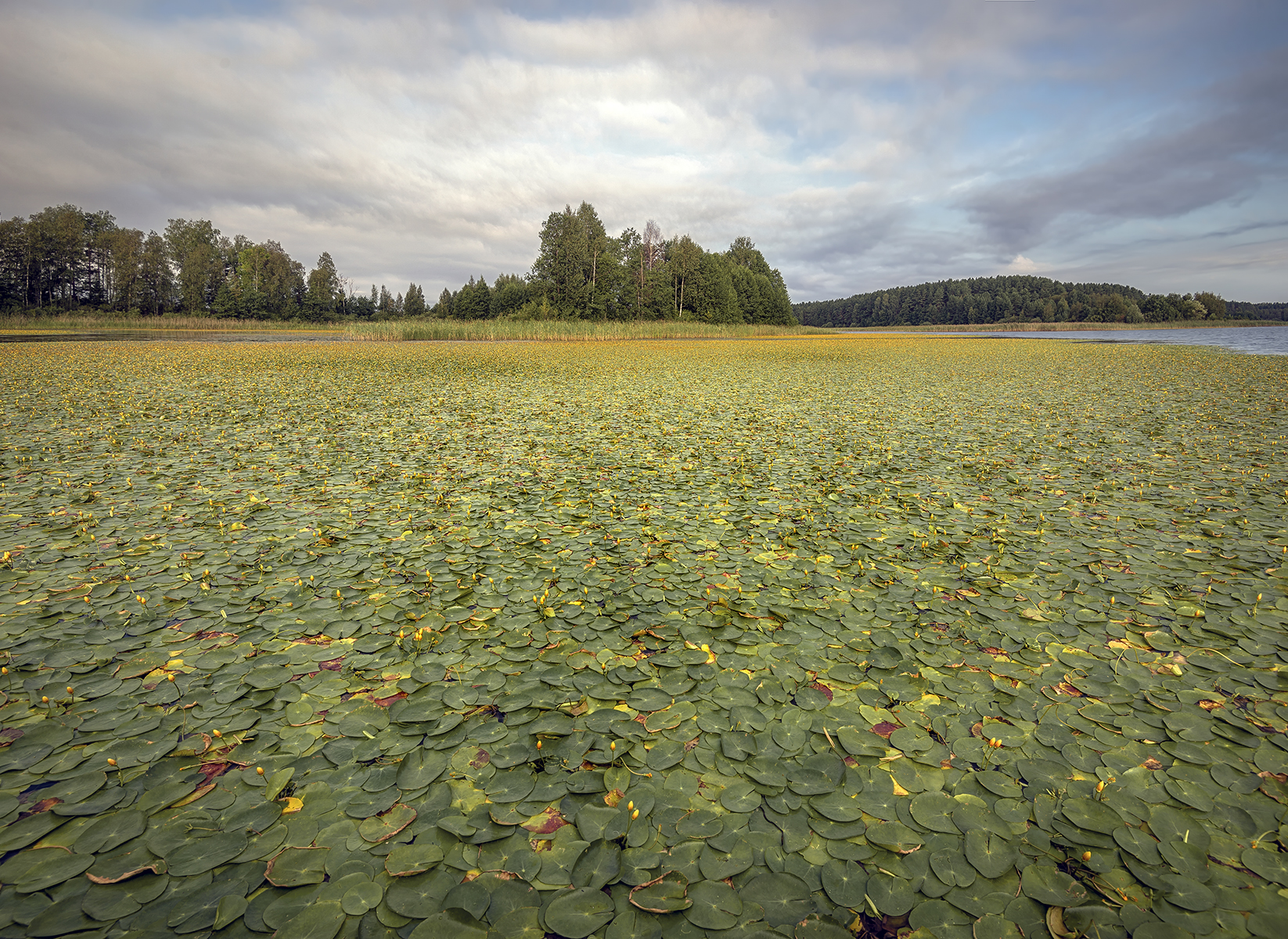 , Сергей Аникин