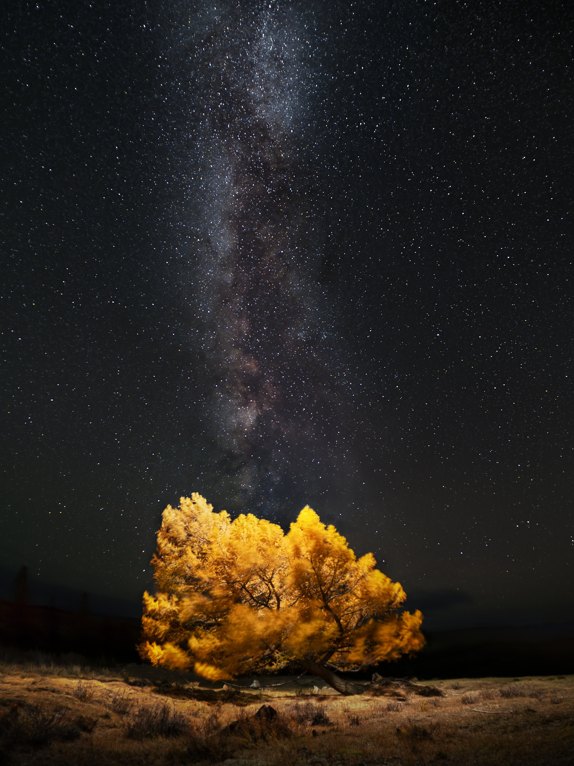 , Мозжухин Максим