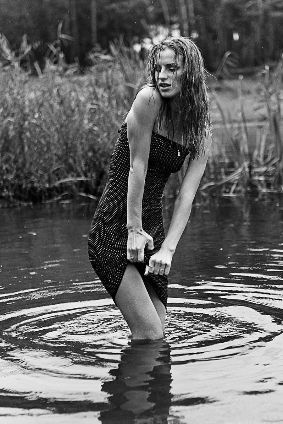 , Стеценко Александр