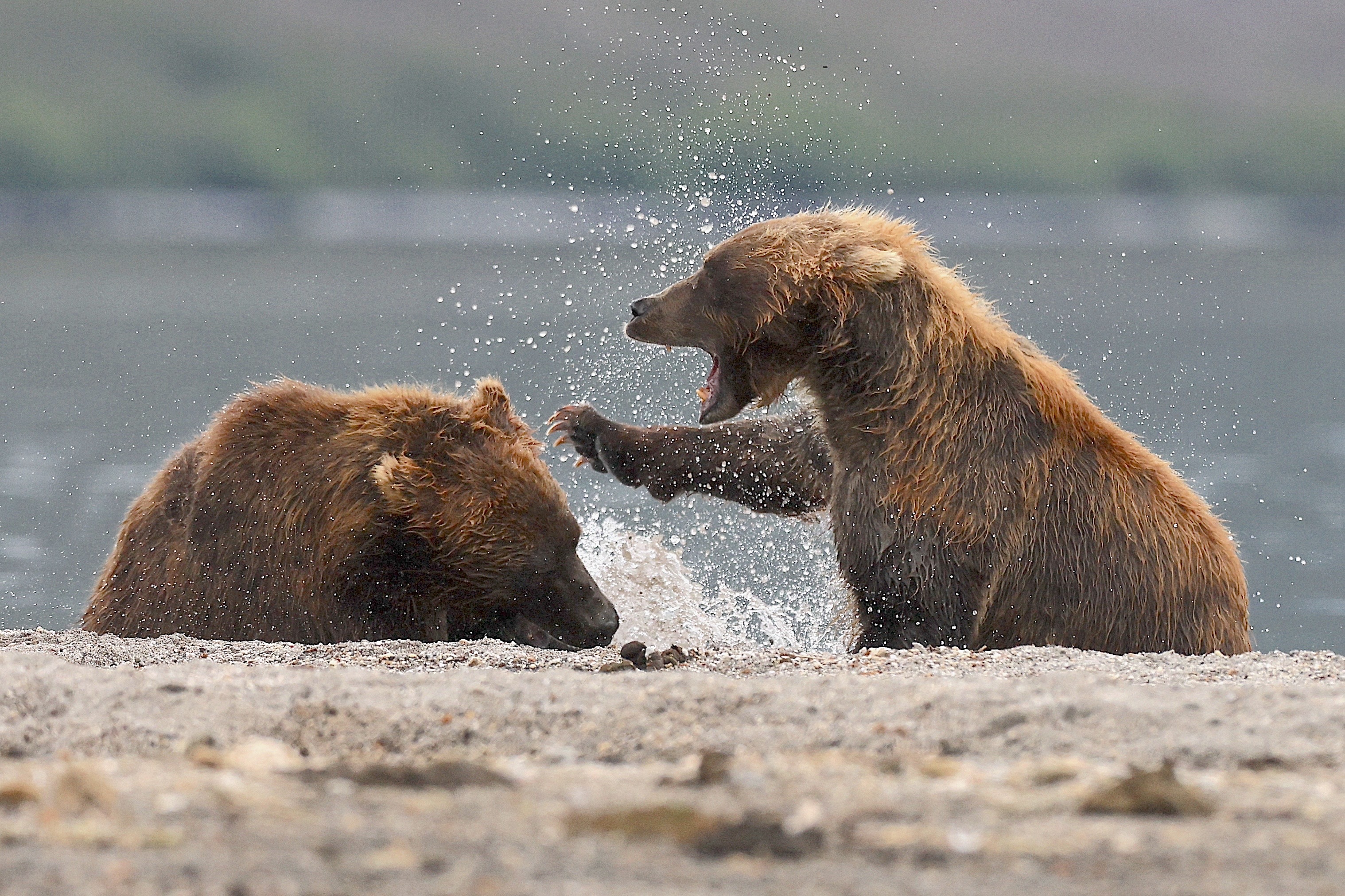 , Голубков Леонид