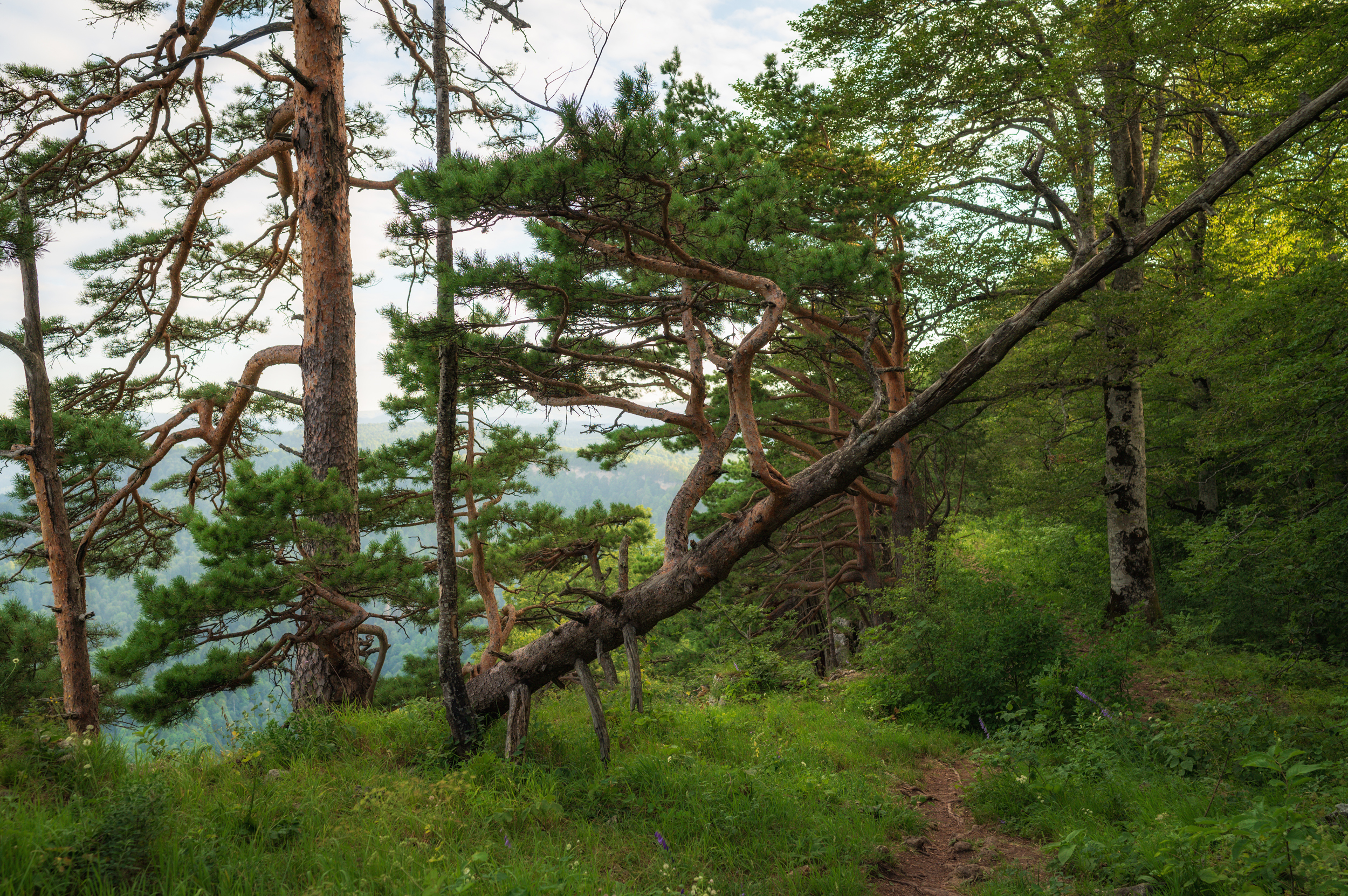 , Сергей Тихомиров