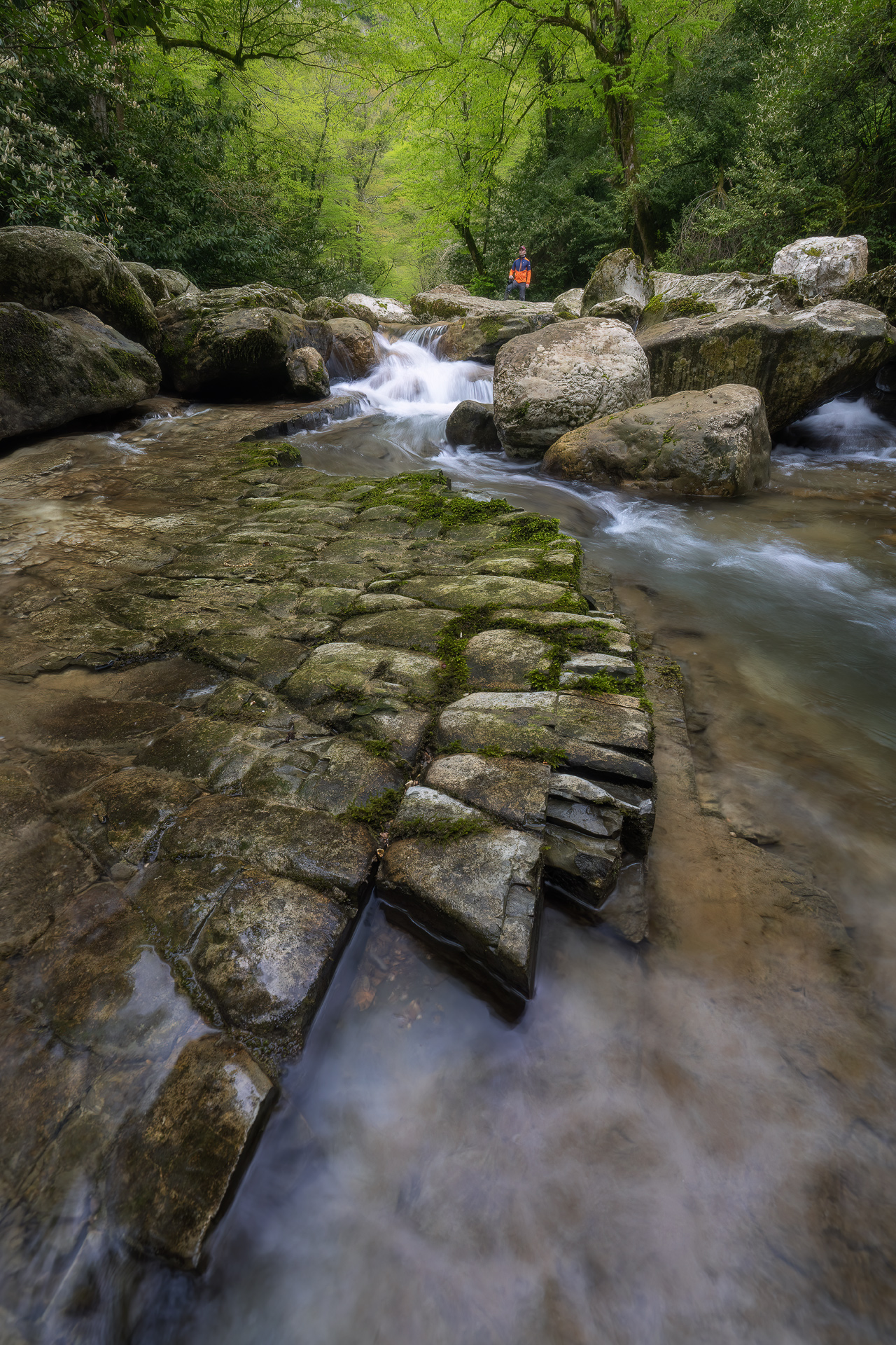 , Константин Маланин