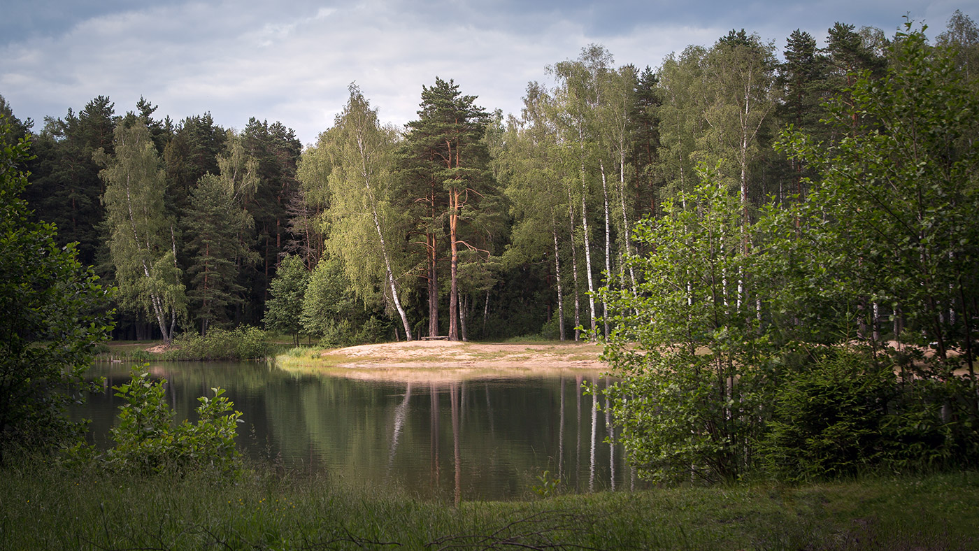 , Евгений Кутузов