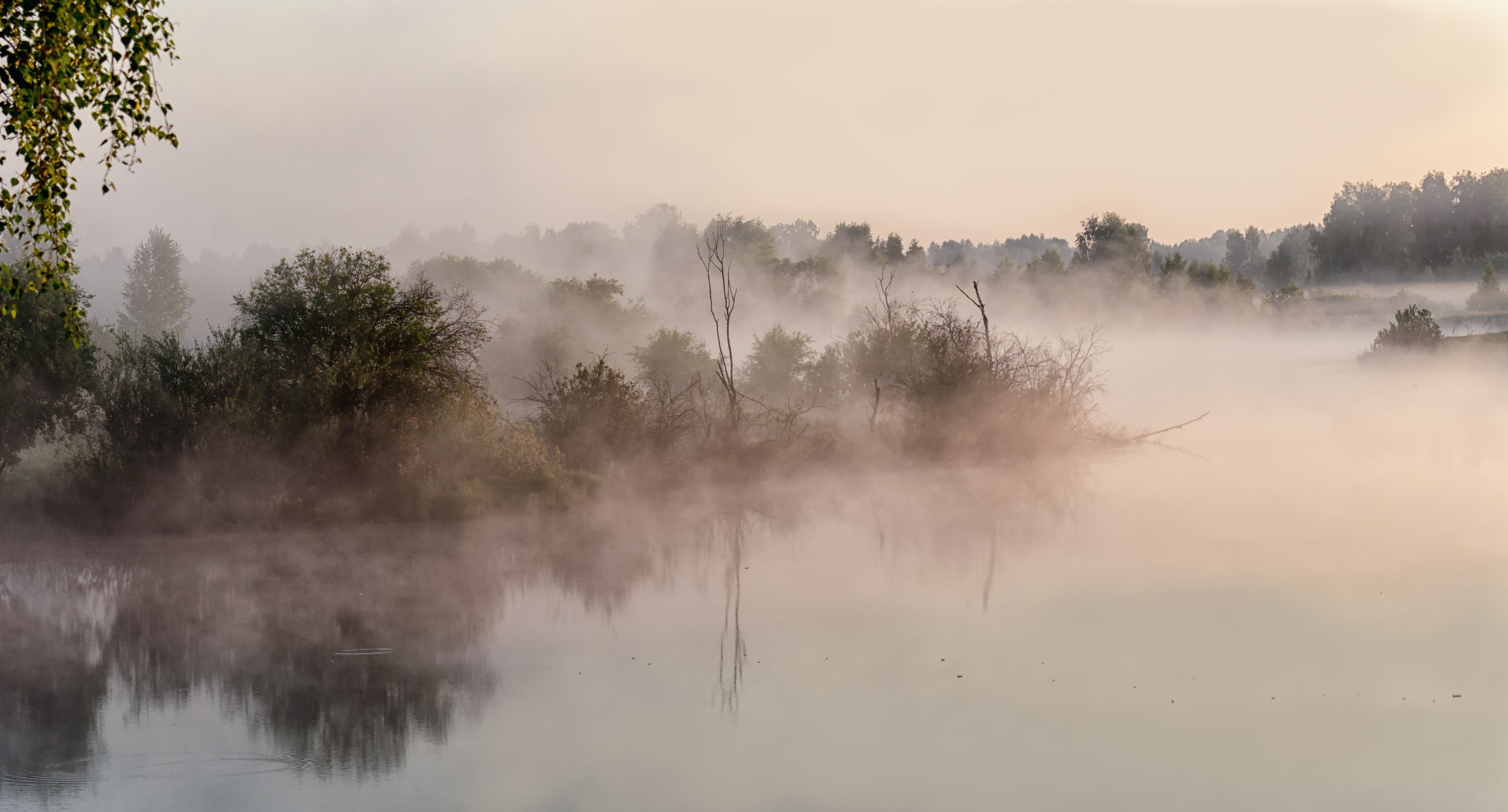 утро, тайга, туман,, Мочалова Марина