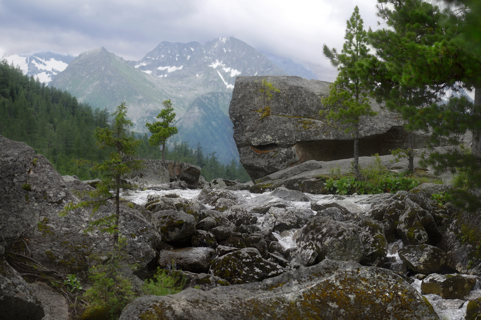 , Крат Светлана