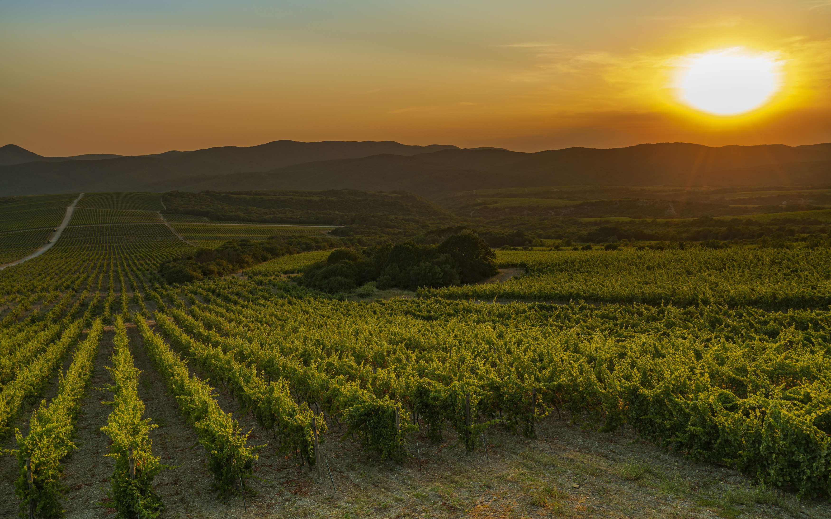 горы, пейзаж, виноградники, закат, Бубнов Станислав