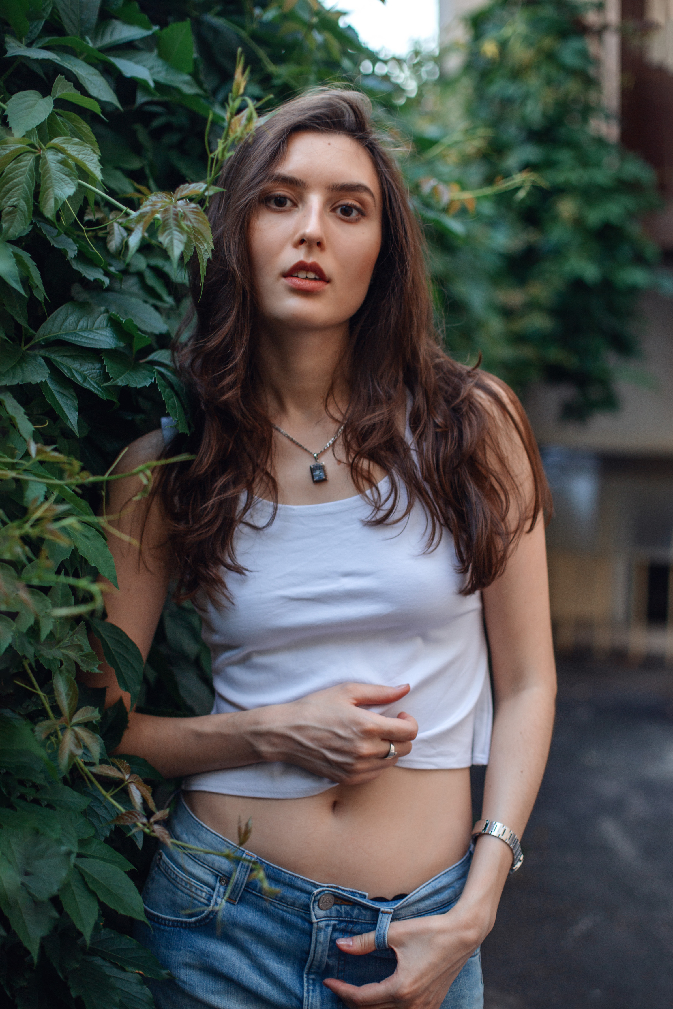 , Плеханов Дмитрий