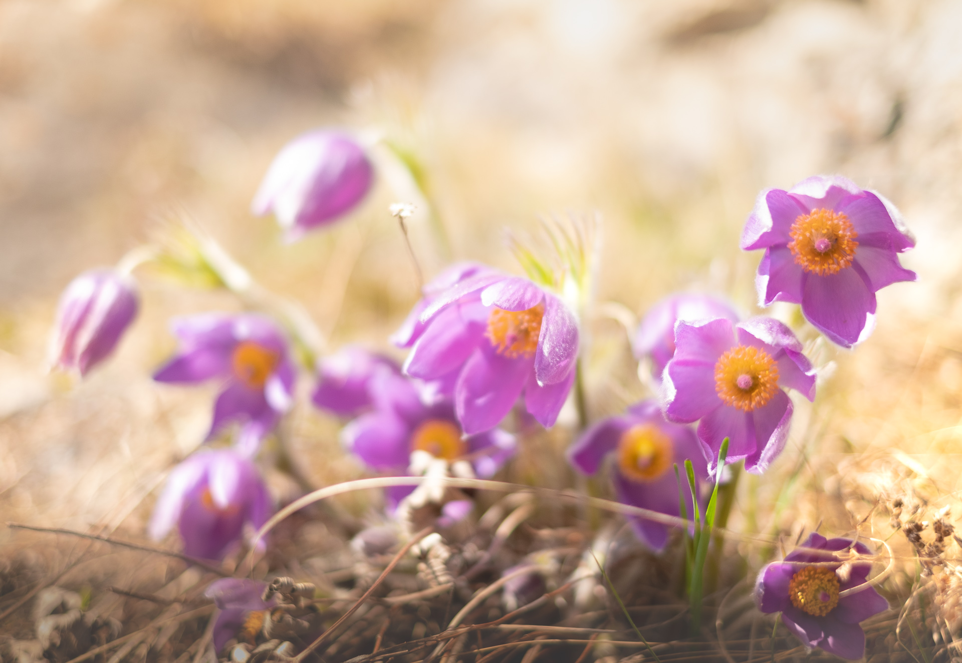 , Коротеев Вадим