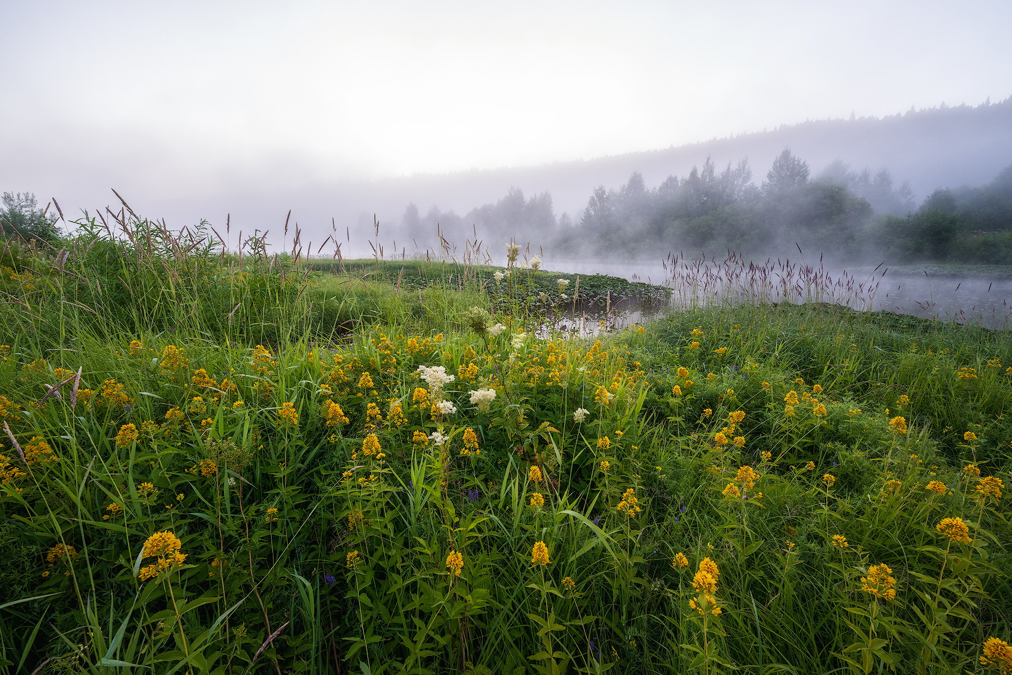 пермский край, пейзаж, рассвет, красота природы, поле, лето, река, природа, дикая природа, койва, лес, усть-койва, Кузнецов Кирилл