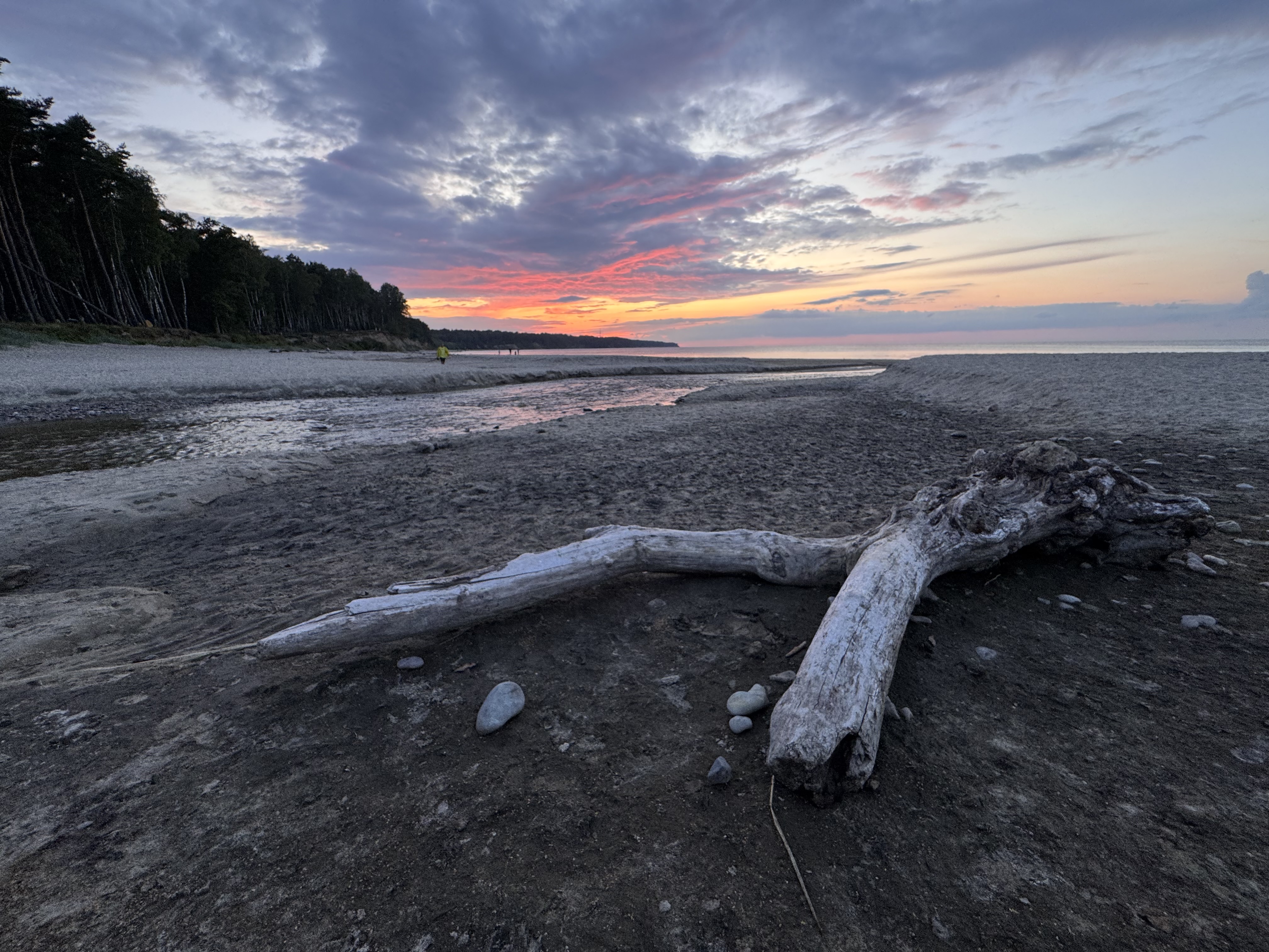 , Аседач Александр
