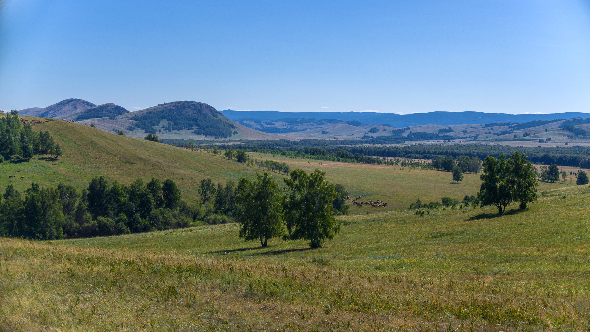 , Шустиков Дмитрий