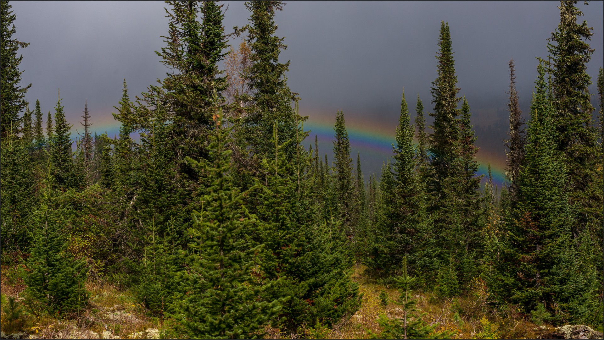 ергаки, Беляев Юрий