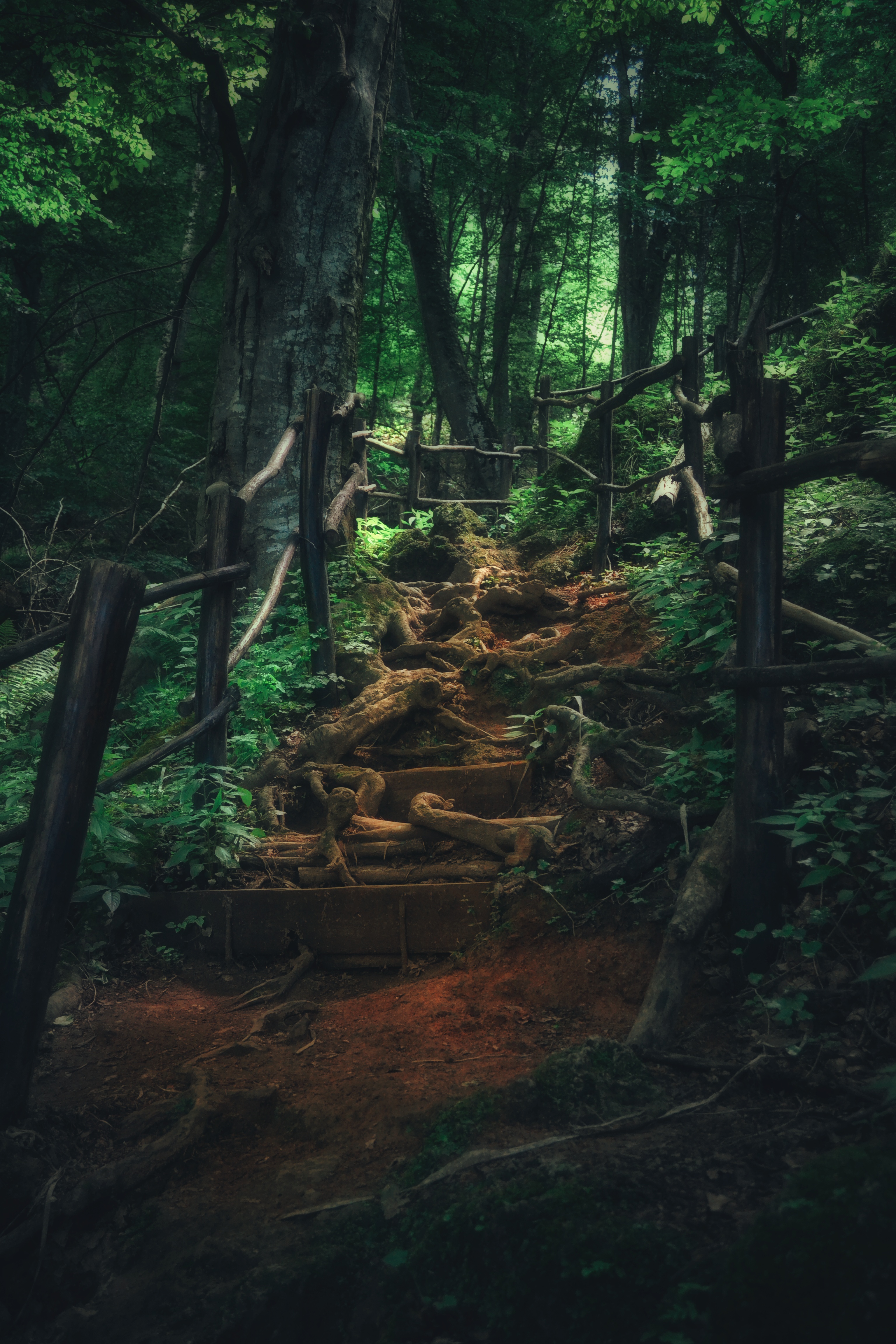 , Юлияна Стоянова