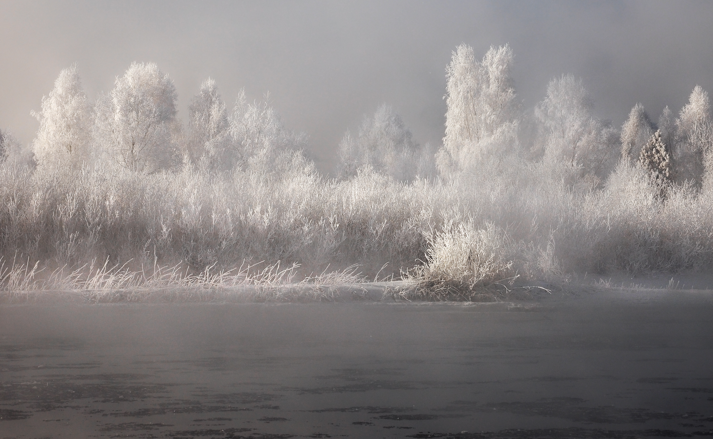 , Александр Попов