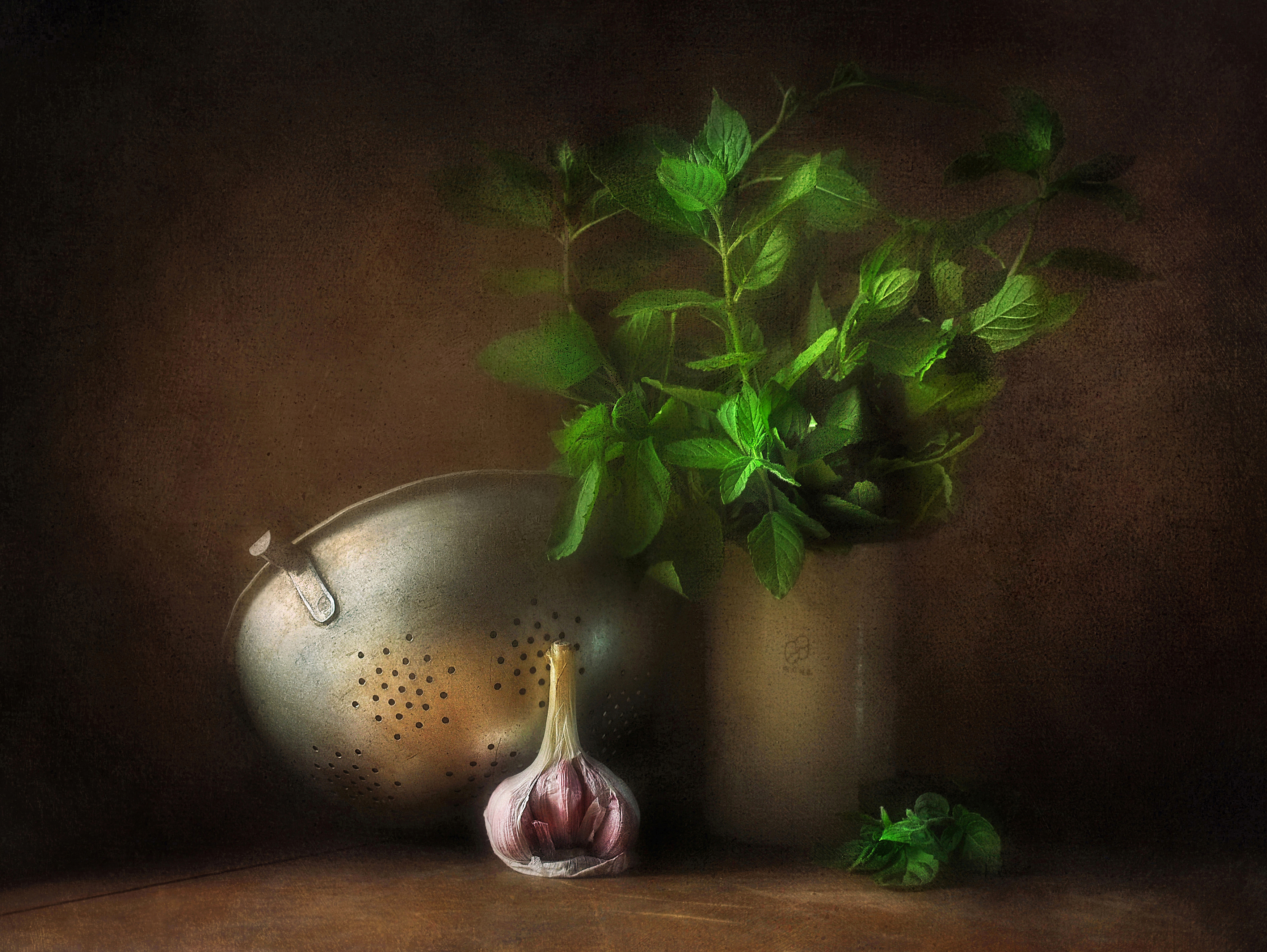 натюрморт, чеснок, мята, лето, Буглак Инна