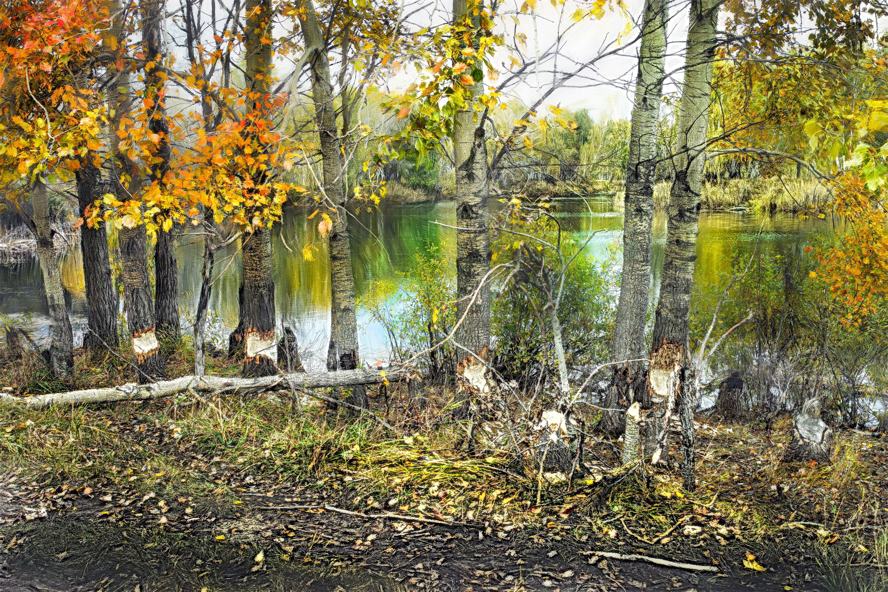 , Борис Бусыгин