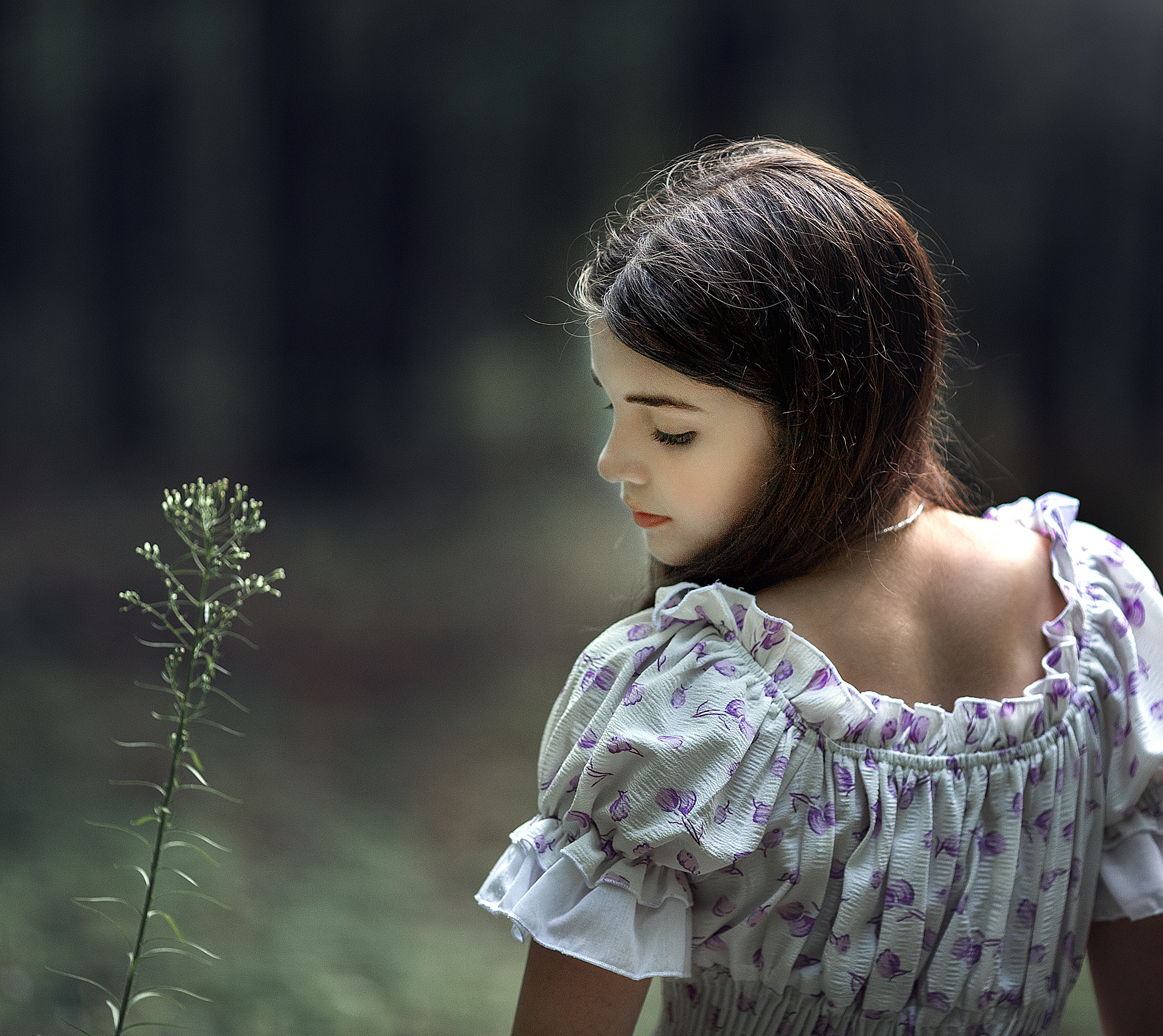 , Солнечный Александр