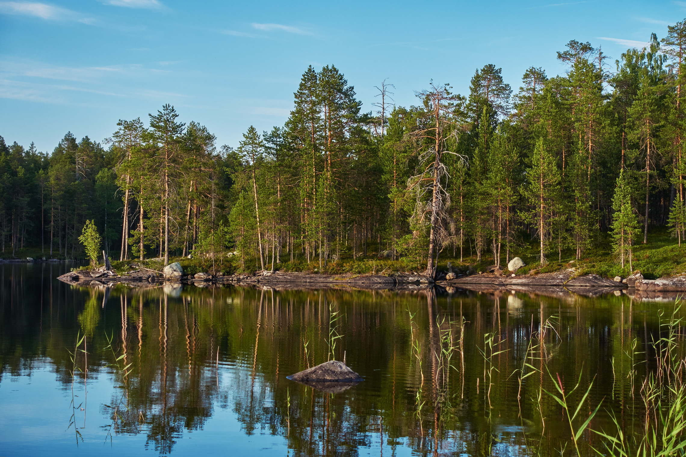 карелия, озеро кереть, Медведев Александр