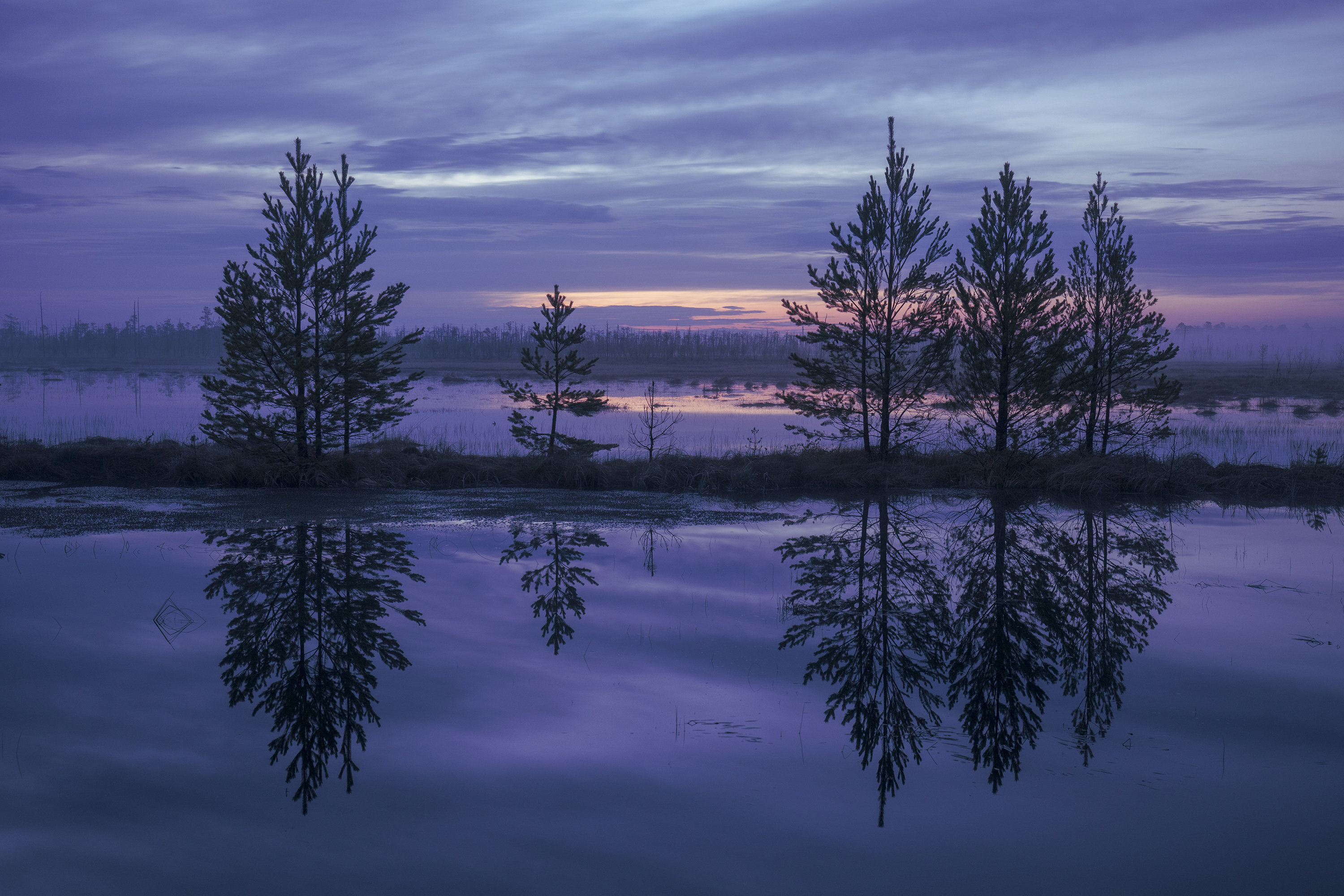 Югра, ночь, пейзаж, отражения, болото, Татьяна Борисова
