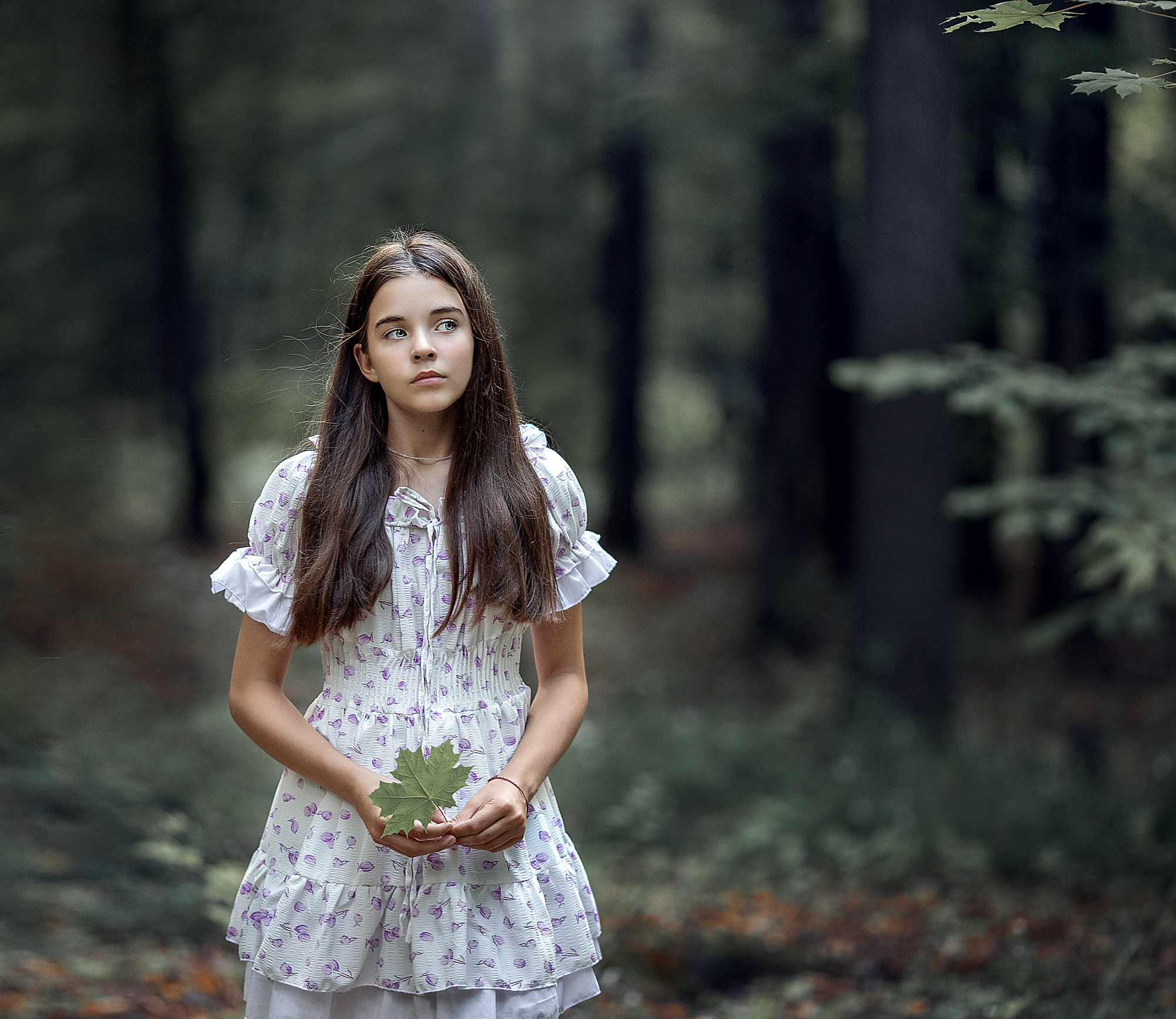 , Солнечный Александр