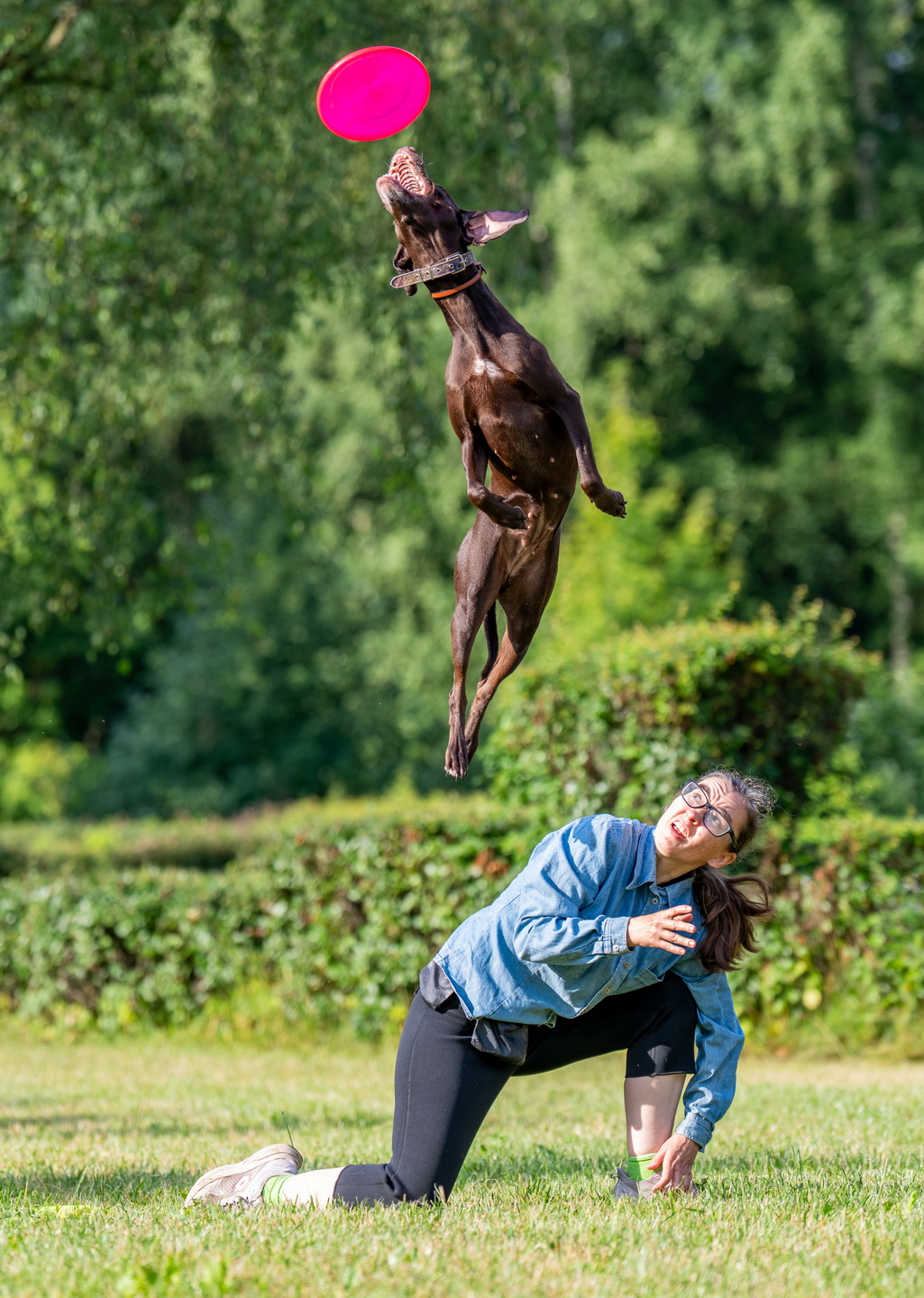 , Дэм Константин