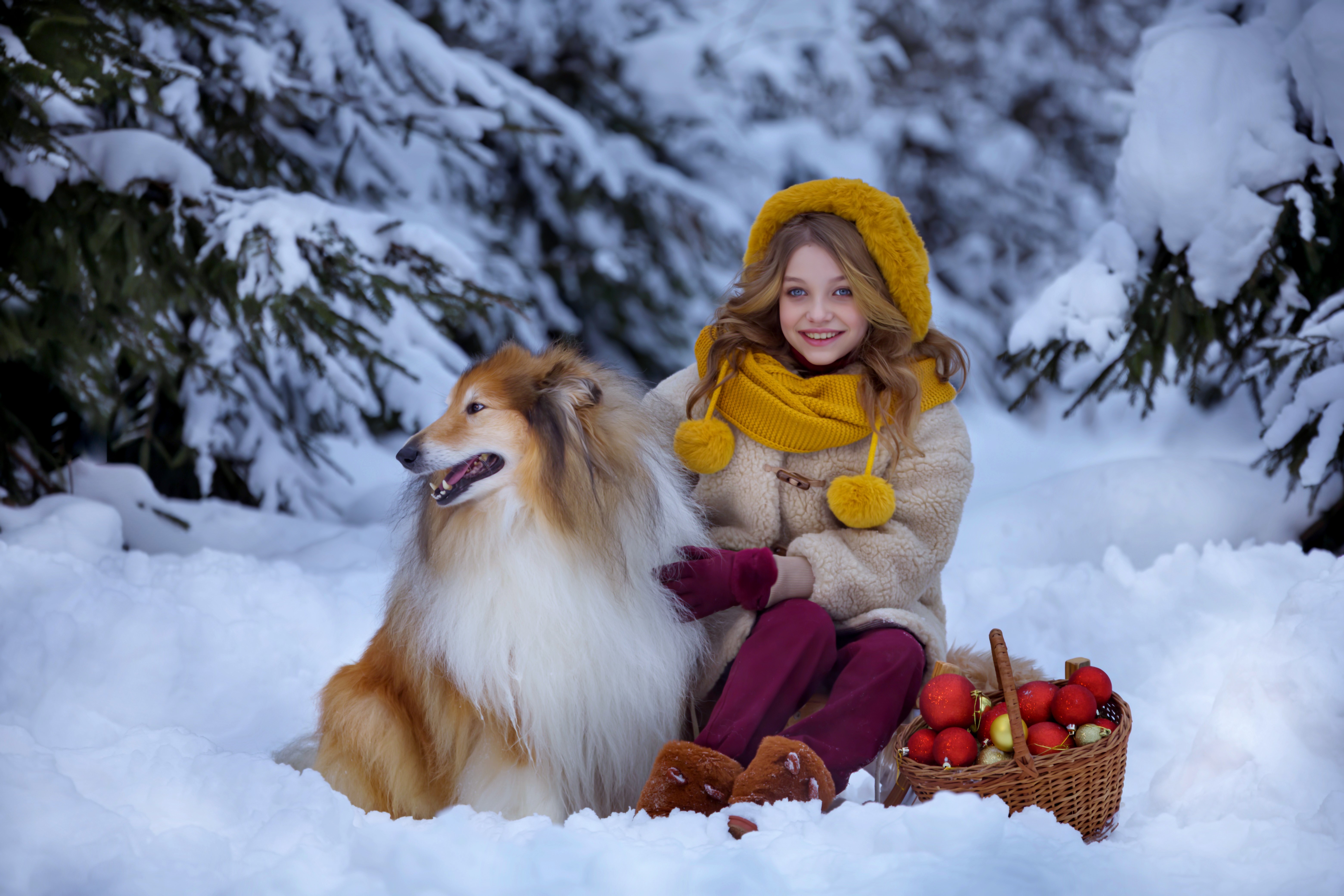 Девочка, зима, собака, Новый год, санки, зимний лес, игрушки, Герцен Наталья