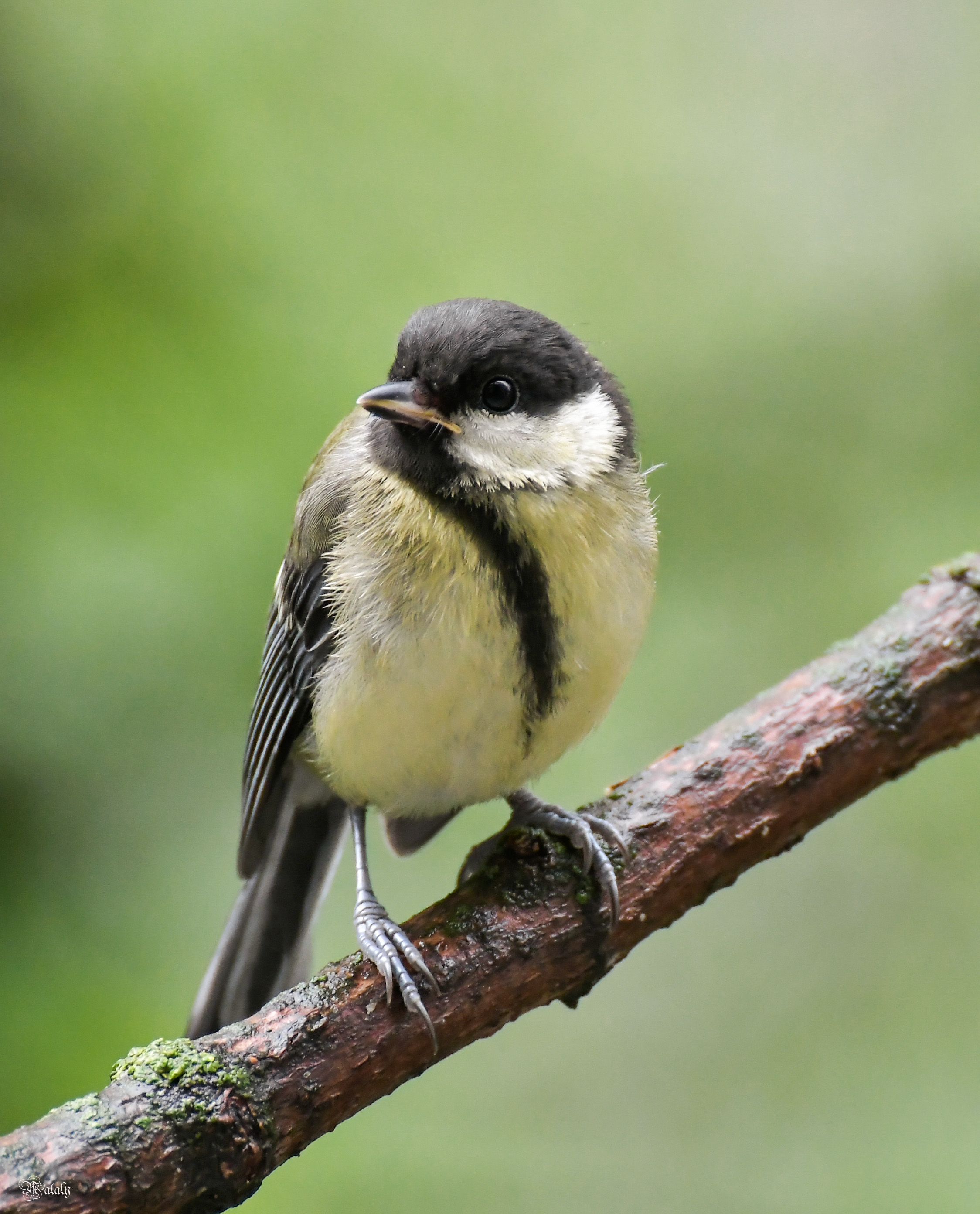 , Наталья Екимова