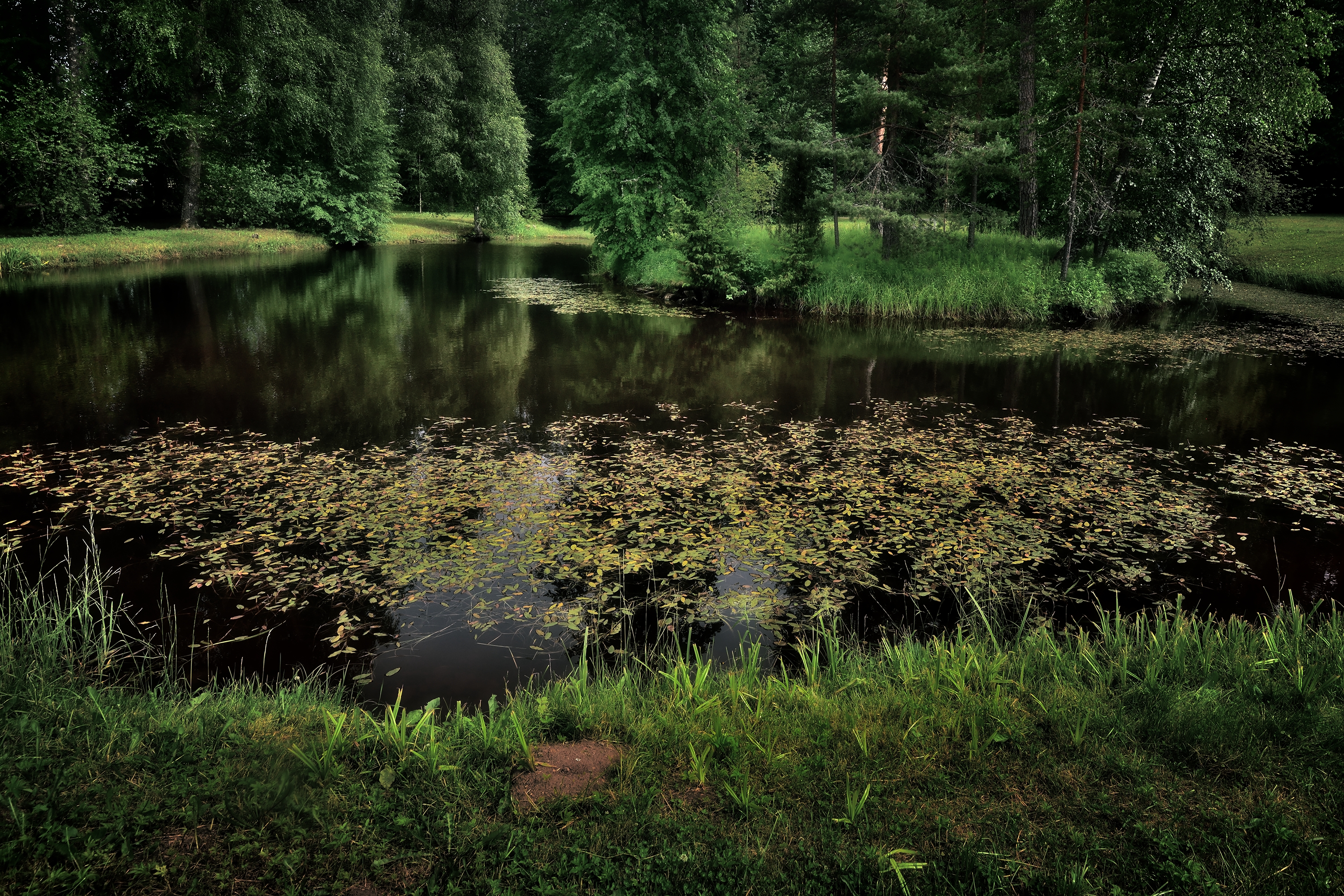 , Алексей Никонов