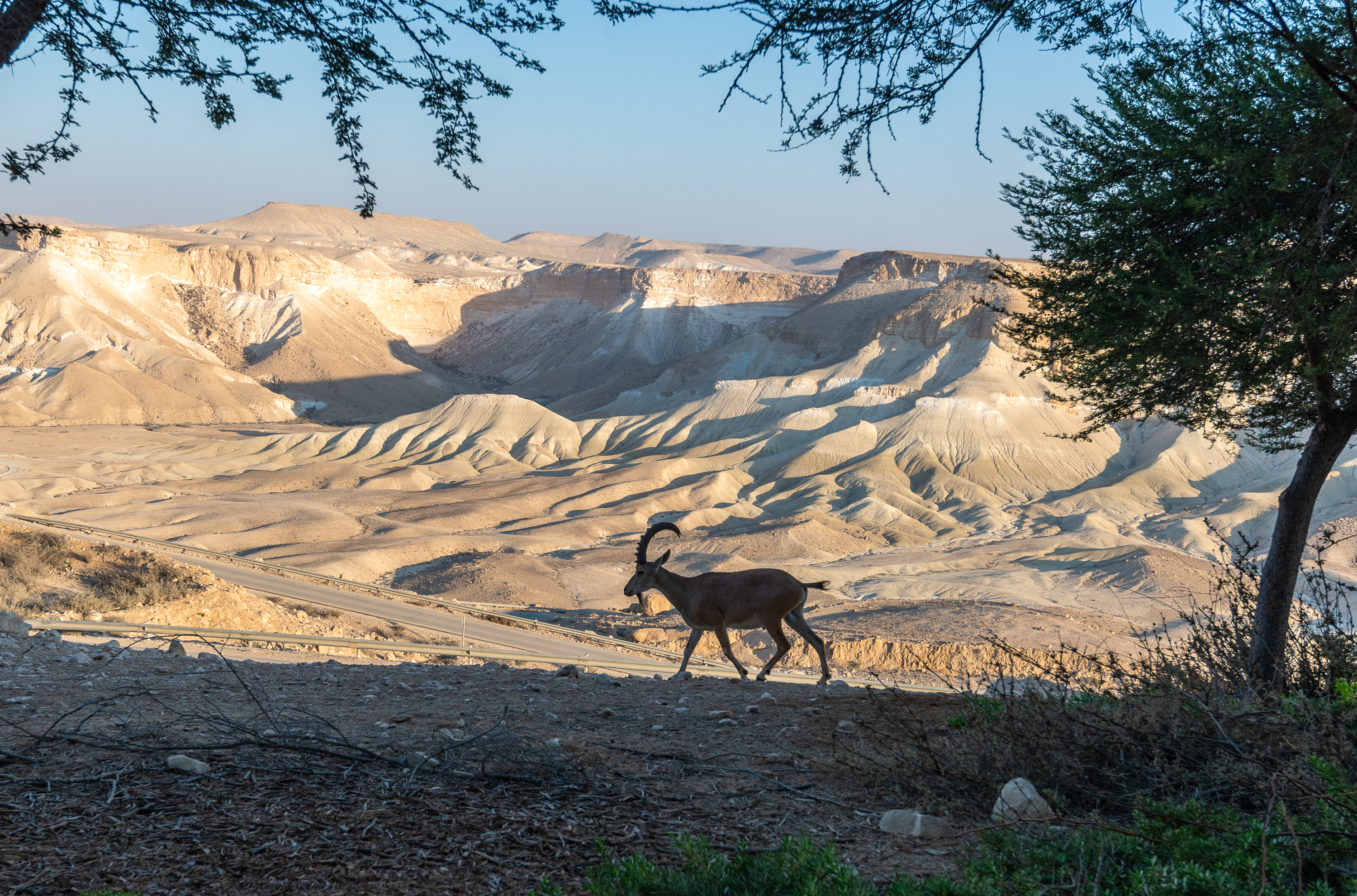 , Vladimir Bragilevsky