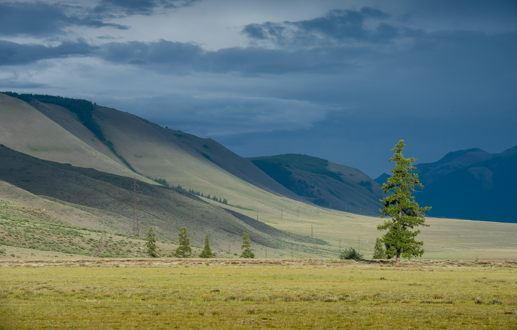 Алтай, Курайская, фототур_на_Алтай, Эдуард Кутыгин