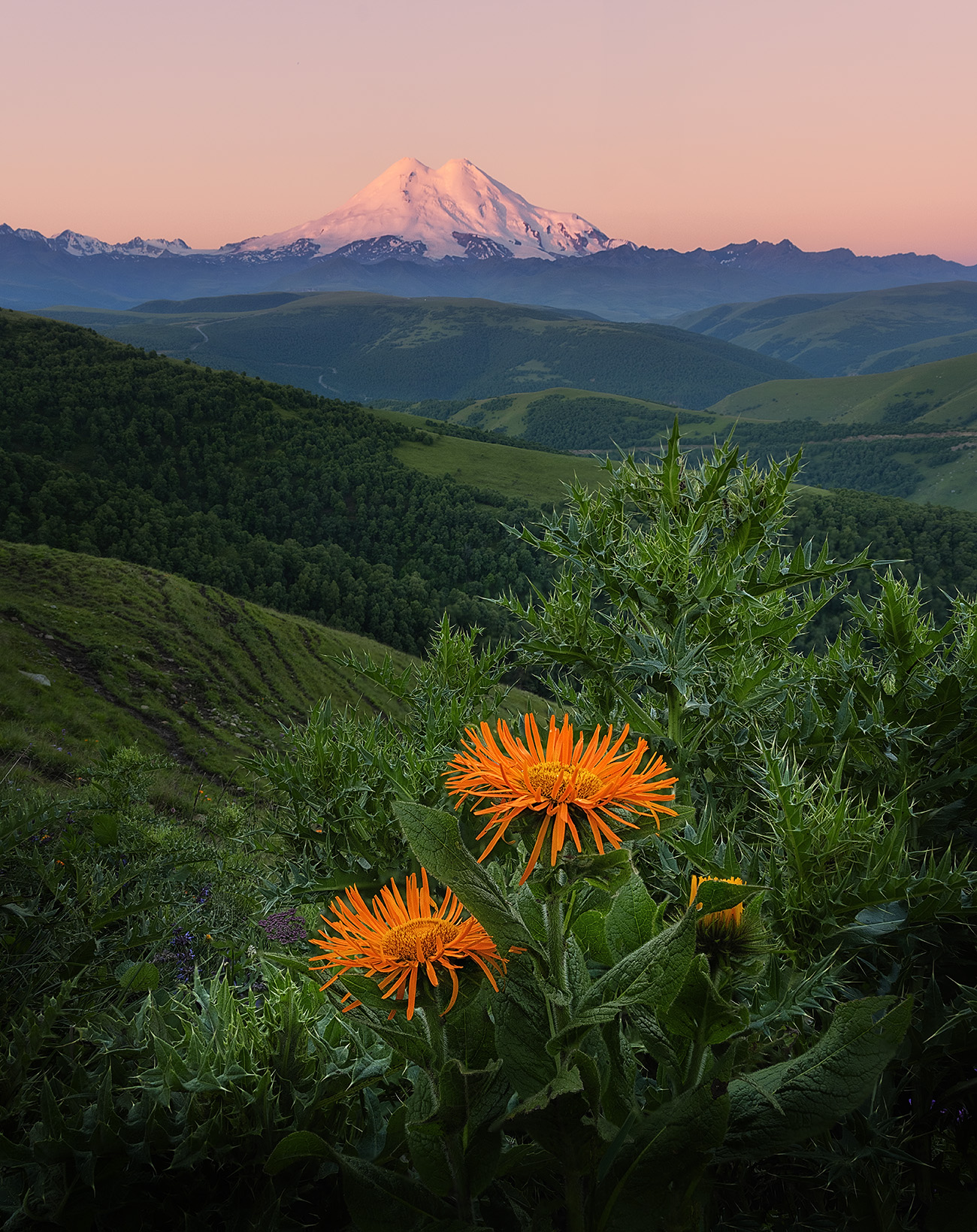 , Андрей Родионов