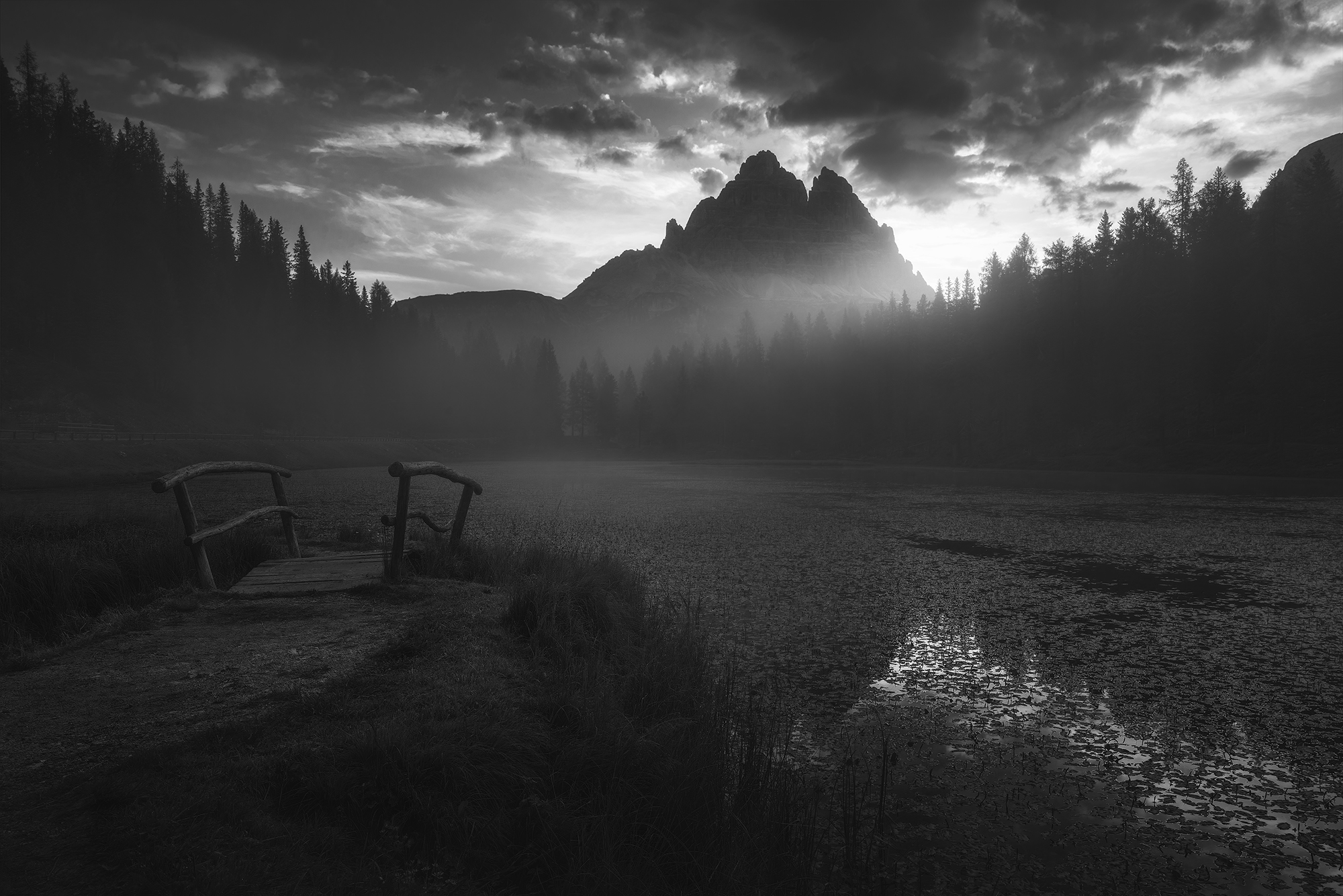 , de Franzoni Thomas