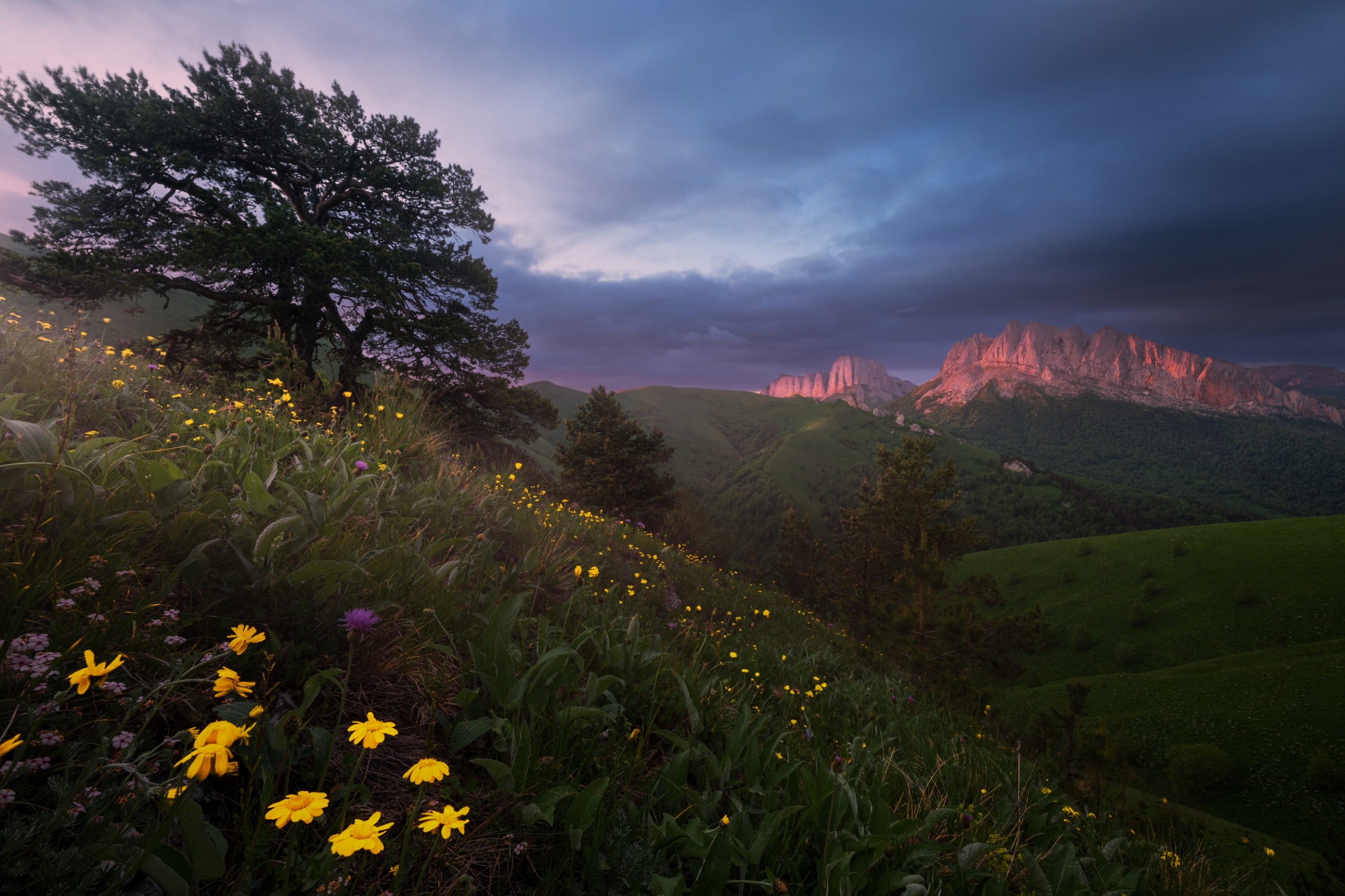 , Ширгин Сергей