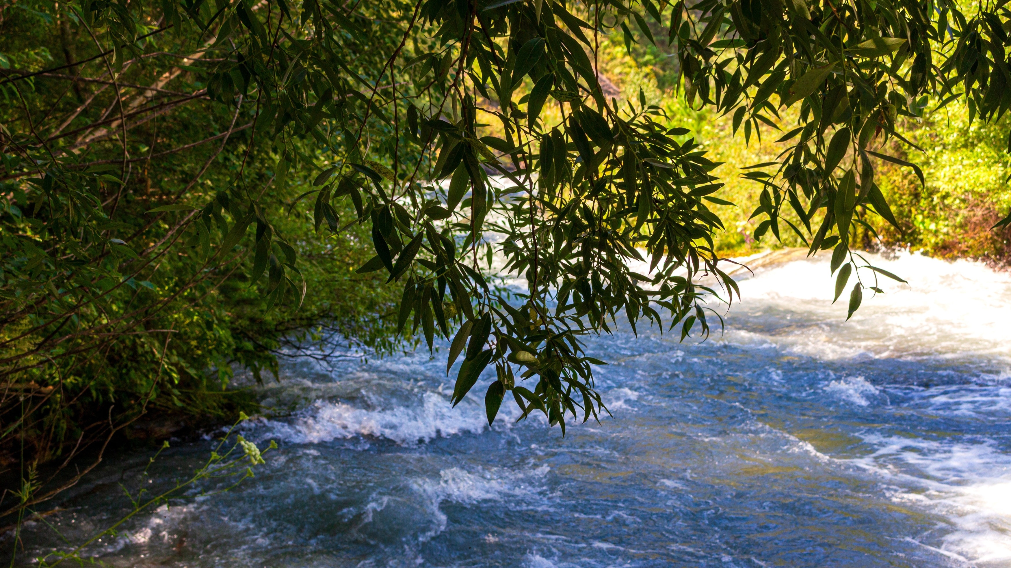 , Яндиев Адам