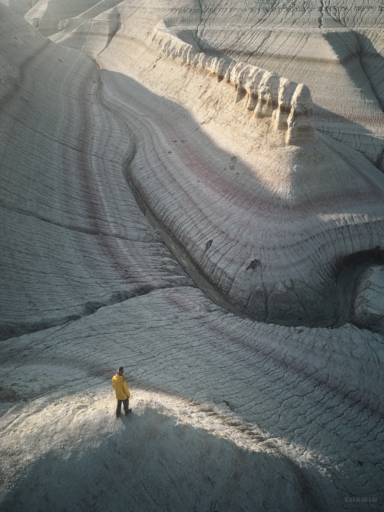 , Константин Шамин