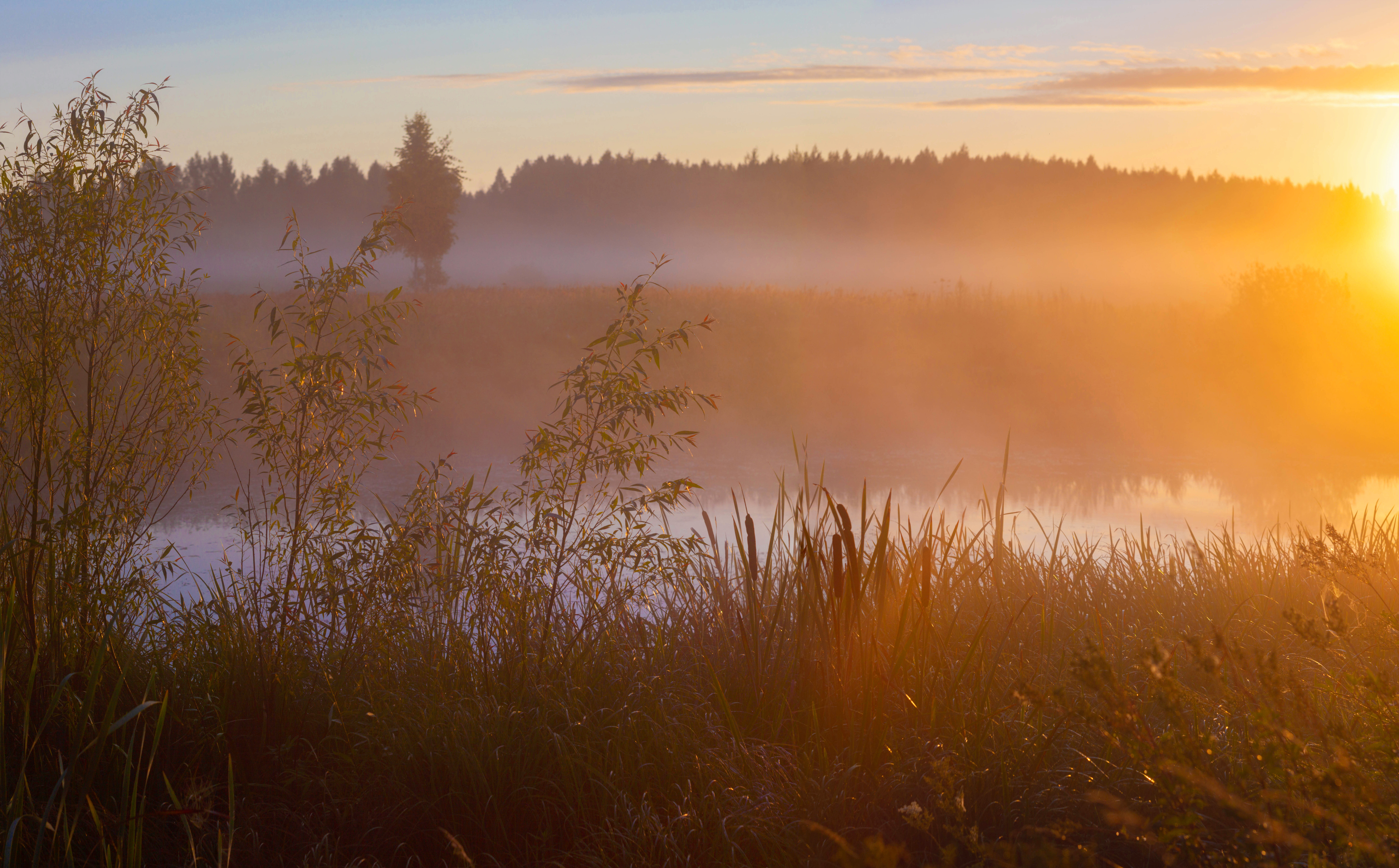 рассвет, туман, Свистков Александр