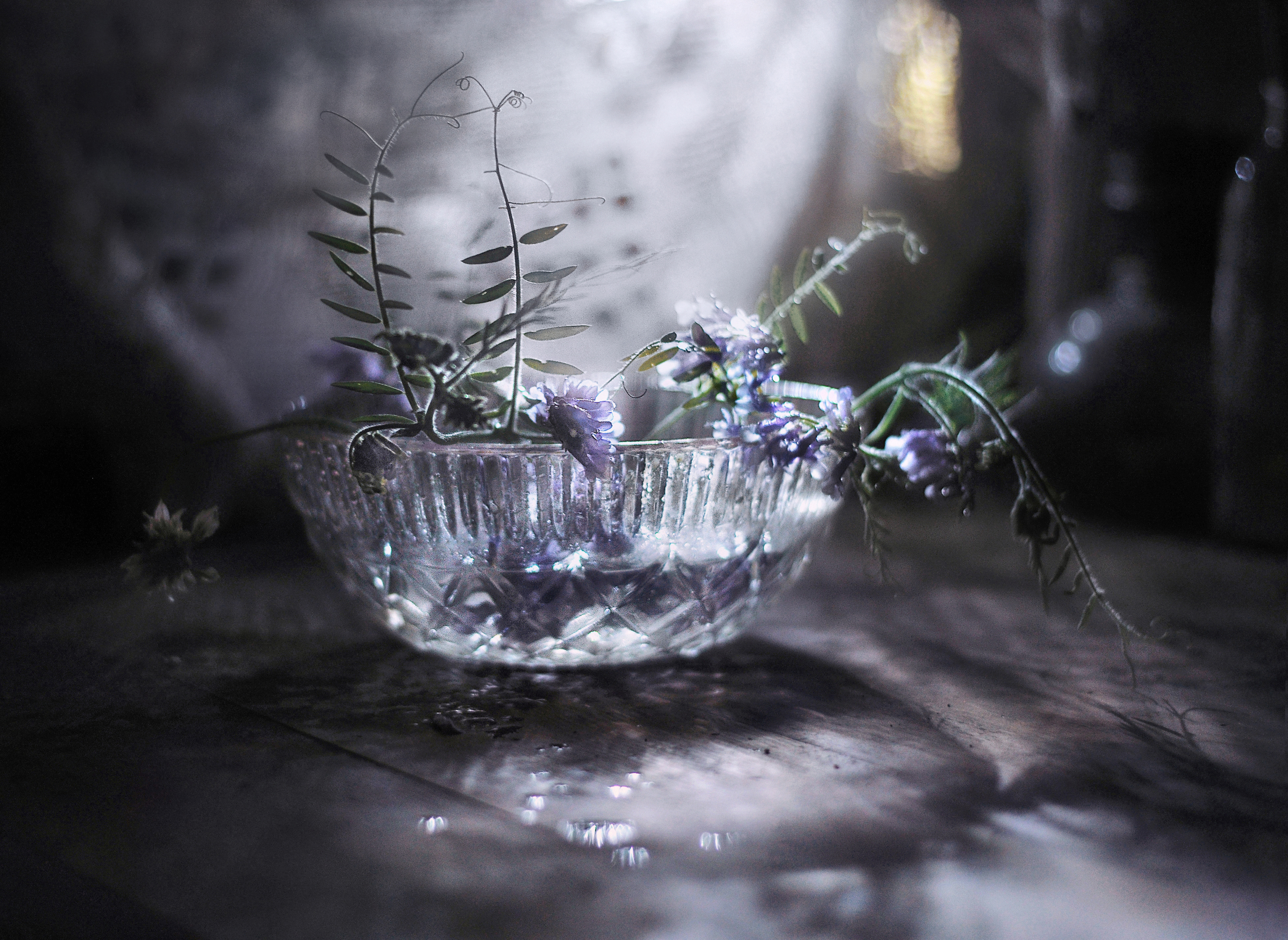 натюрморт, лето, цветы, свет, ночь, Буглак Инна