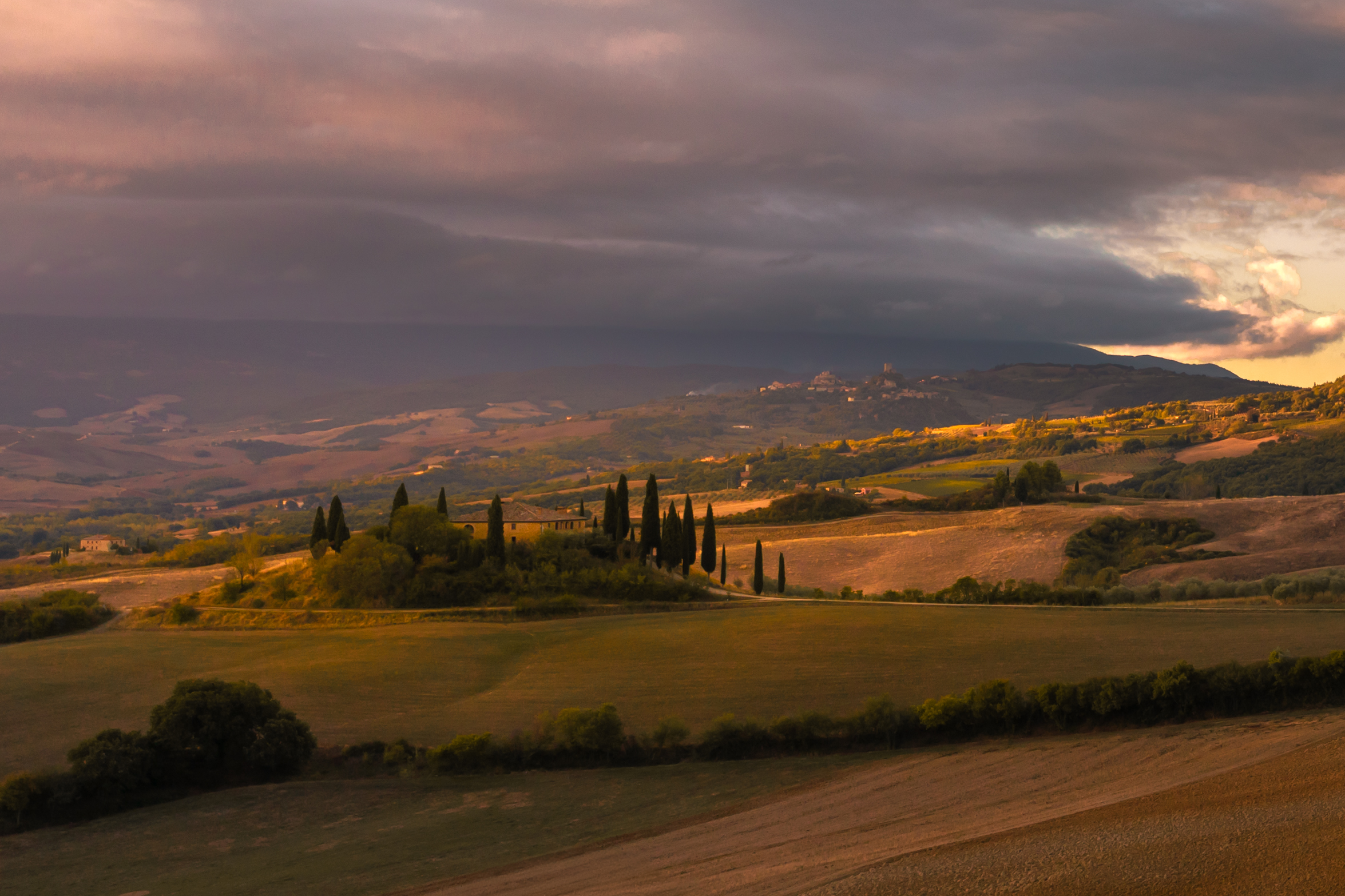 , Евгения Чех