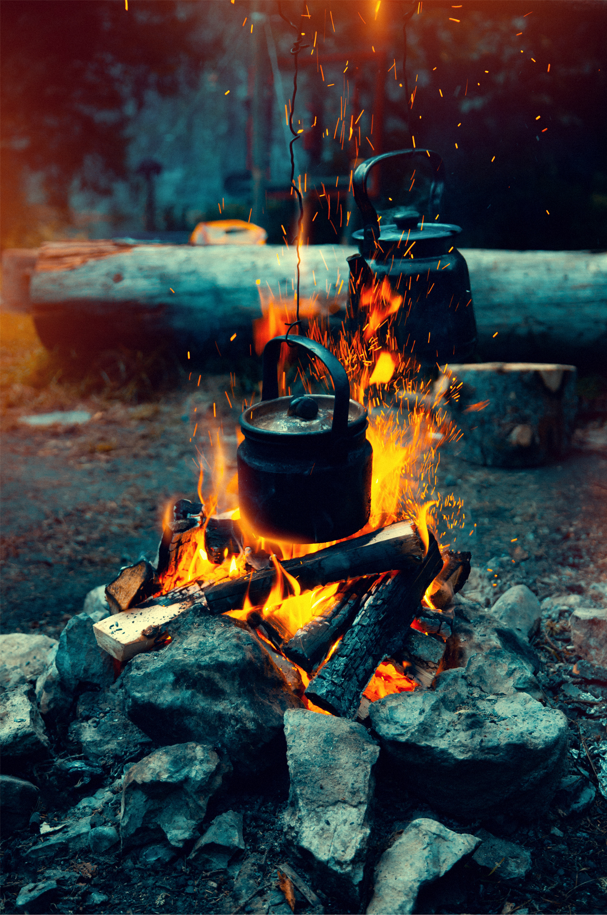 , Андрей Бортников