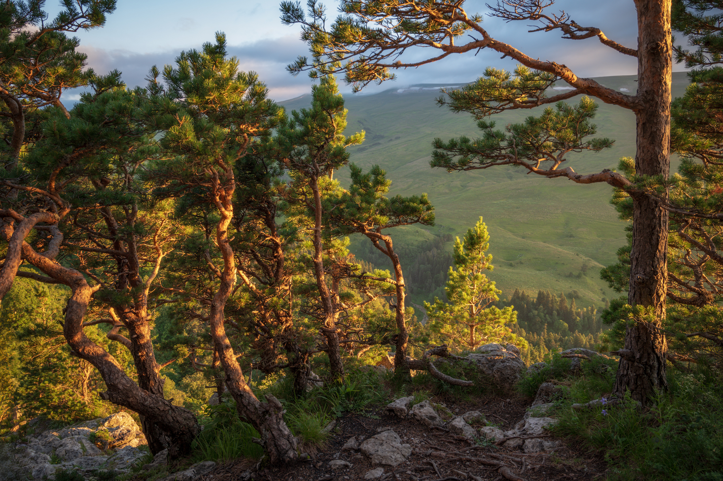 , Сергей Тихомиров