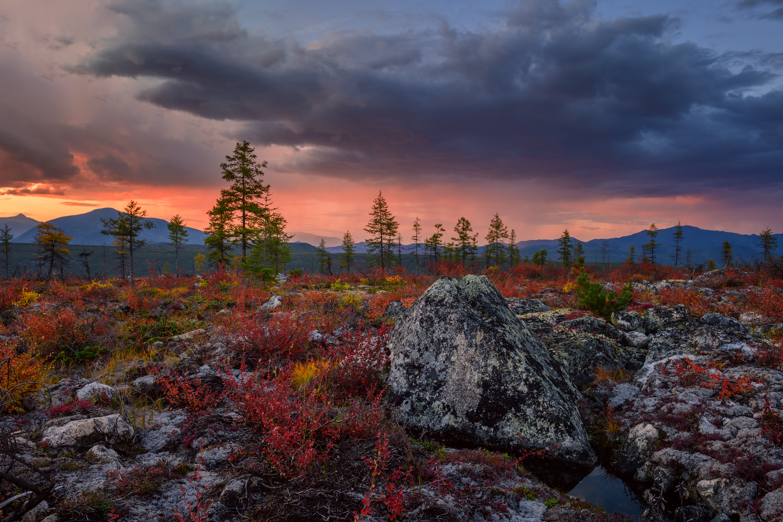 озеро джека лондона, Евдокимов Максим