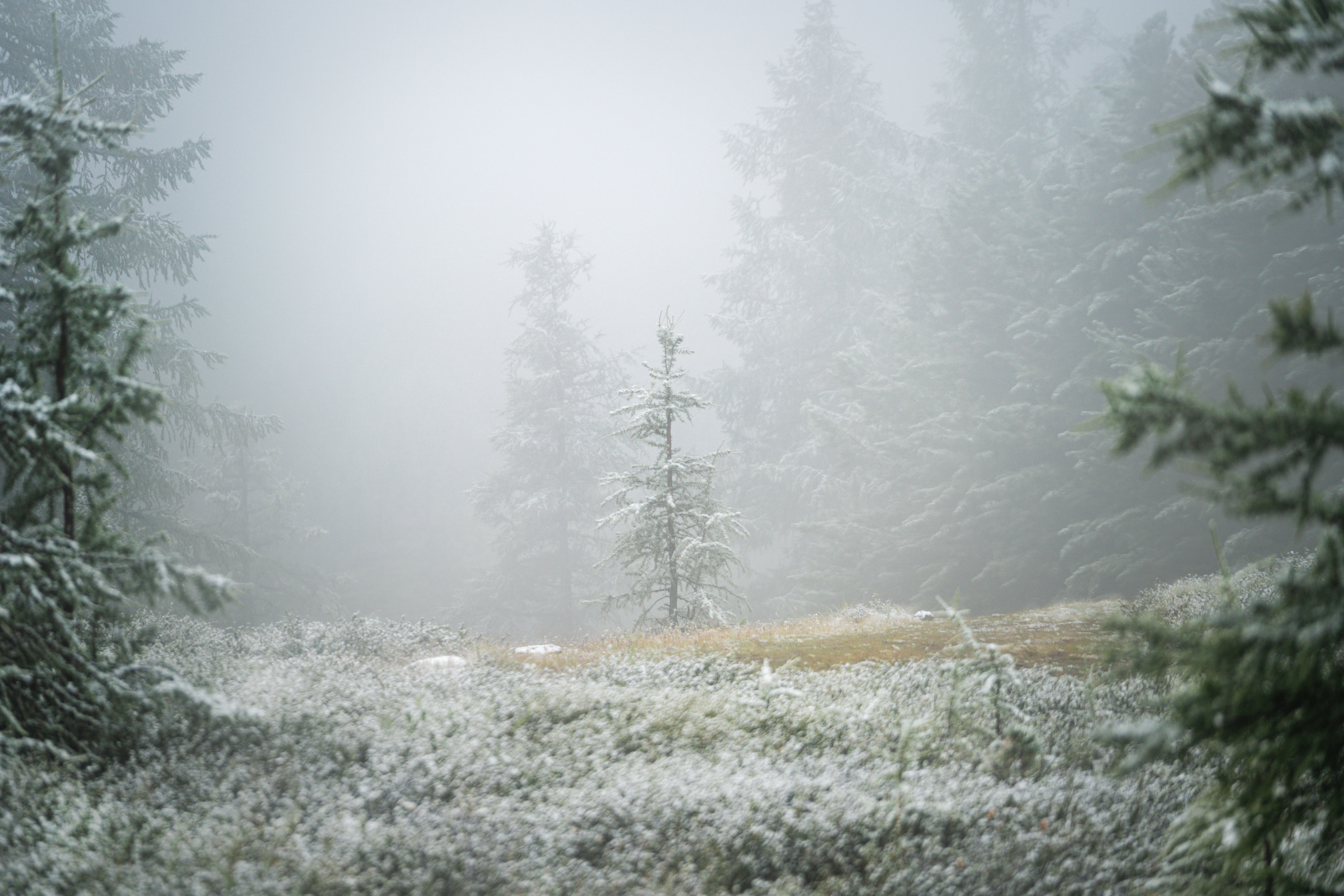 , Евгений Важенин