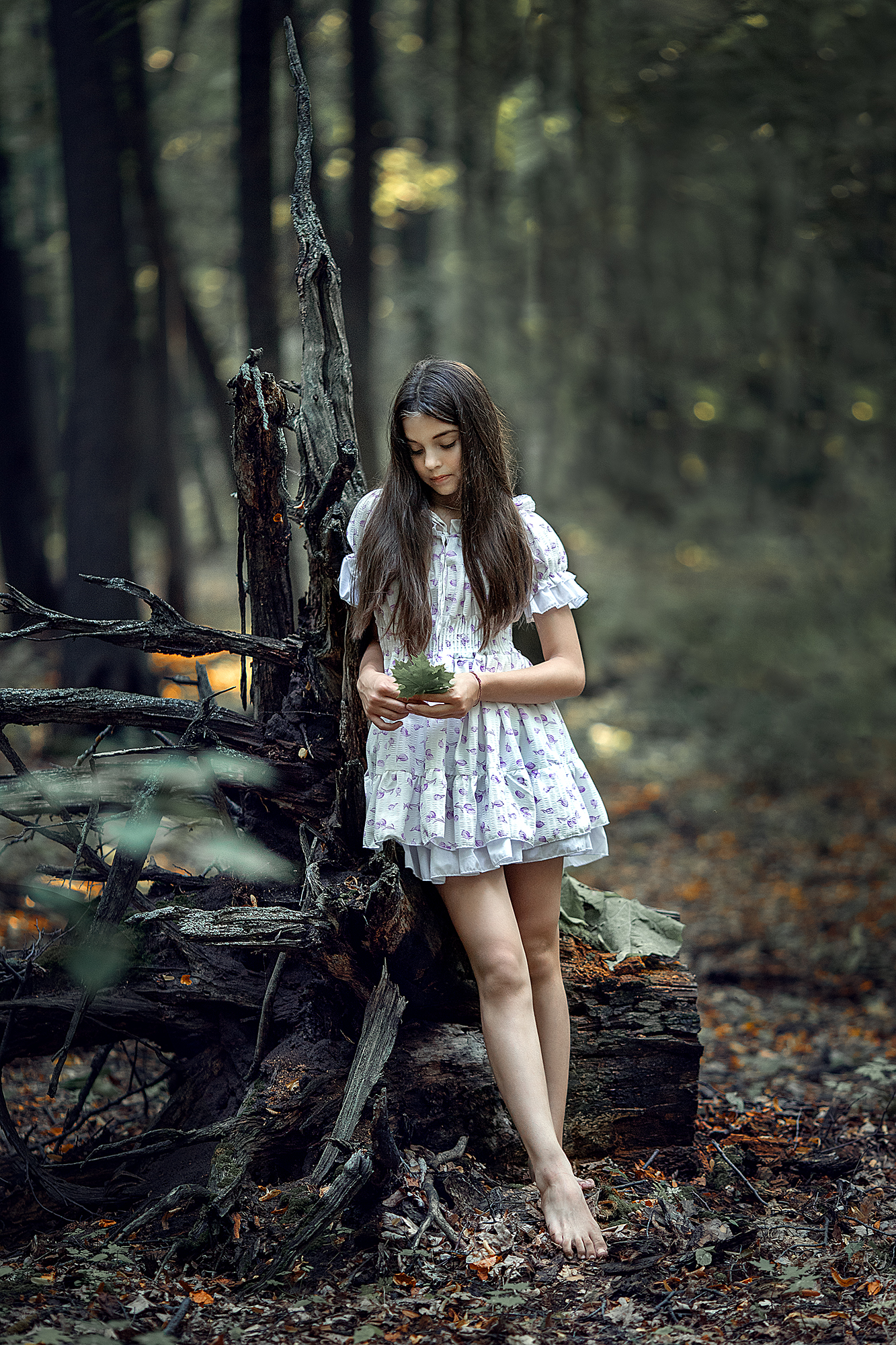 , Солнечный Александр