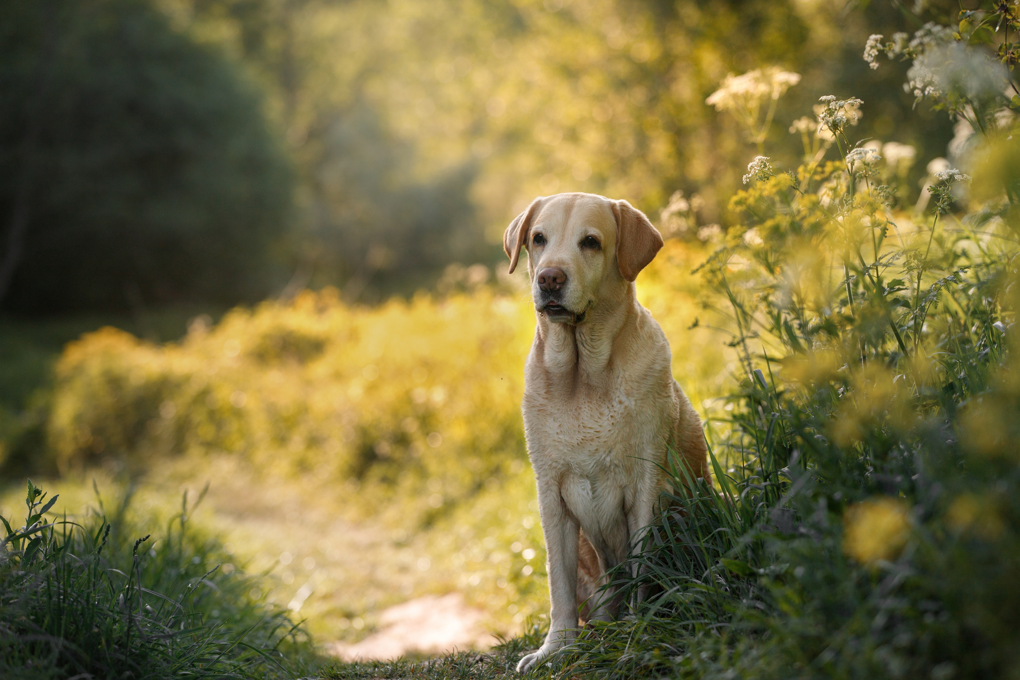 , Мария Шерскова