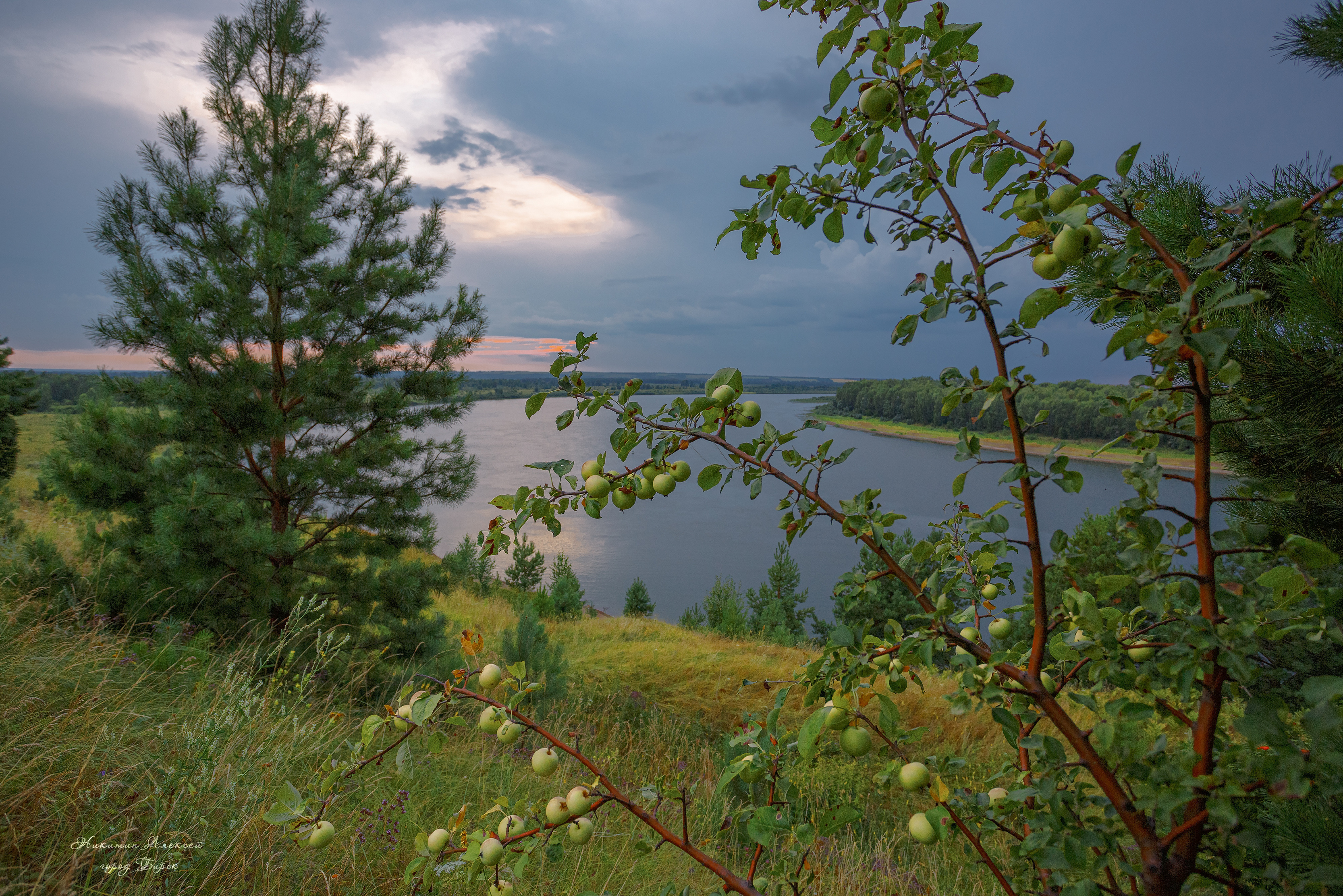 , Никитин Алексей